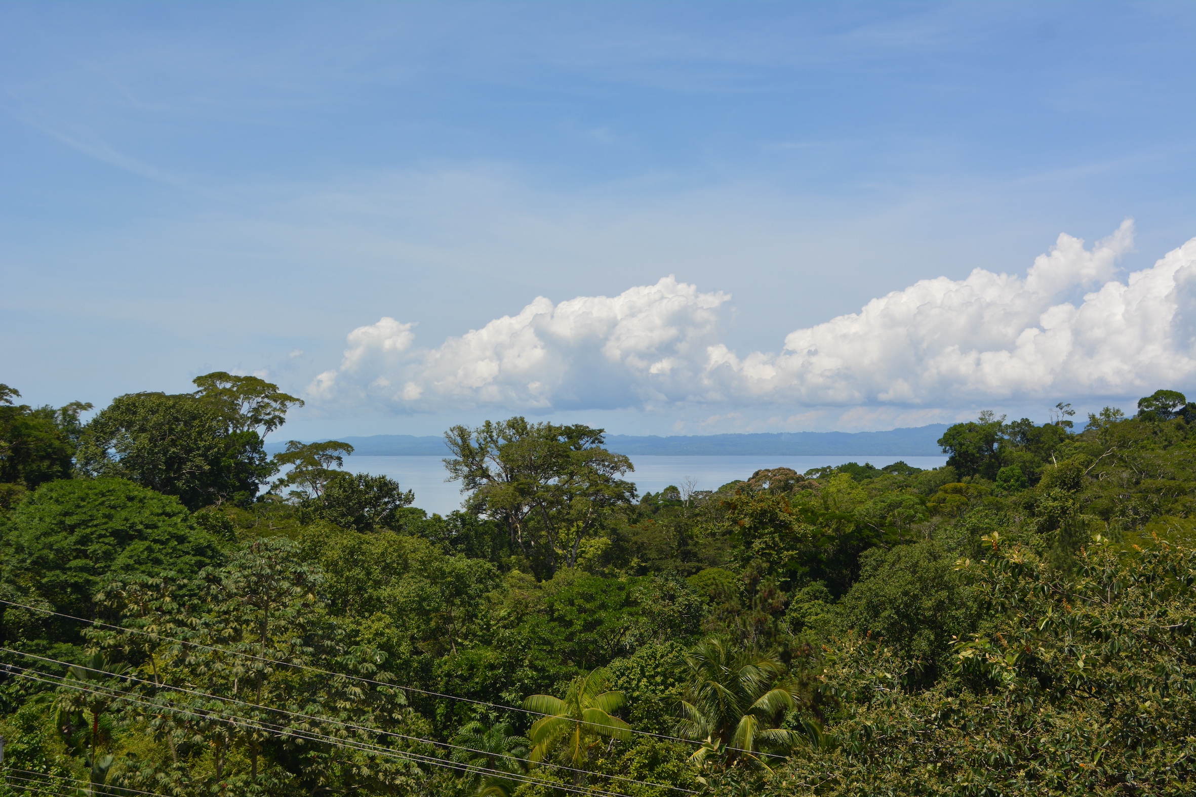 0 bed Land For Sale in Puerto Jimenez, Puntarenas - thumb 3