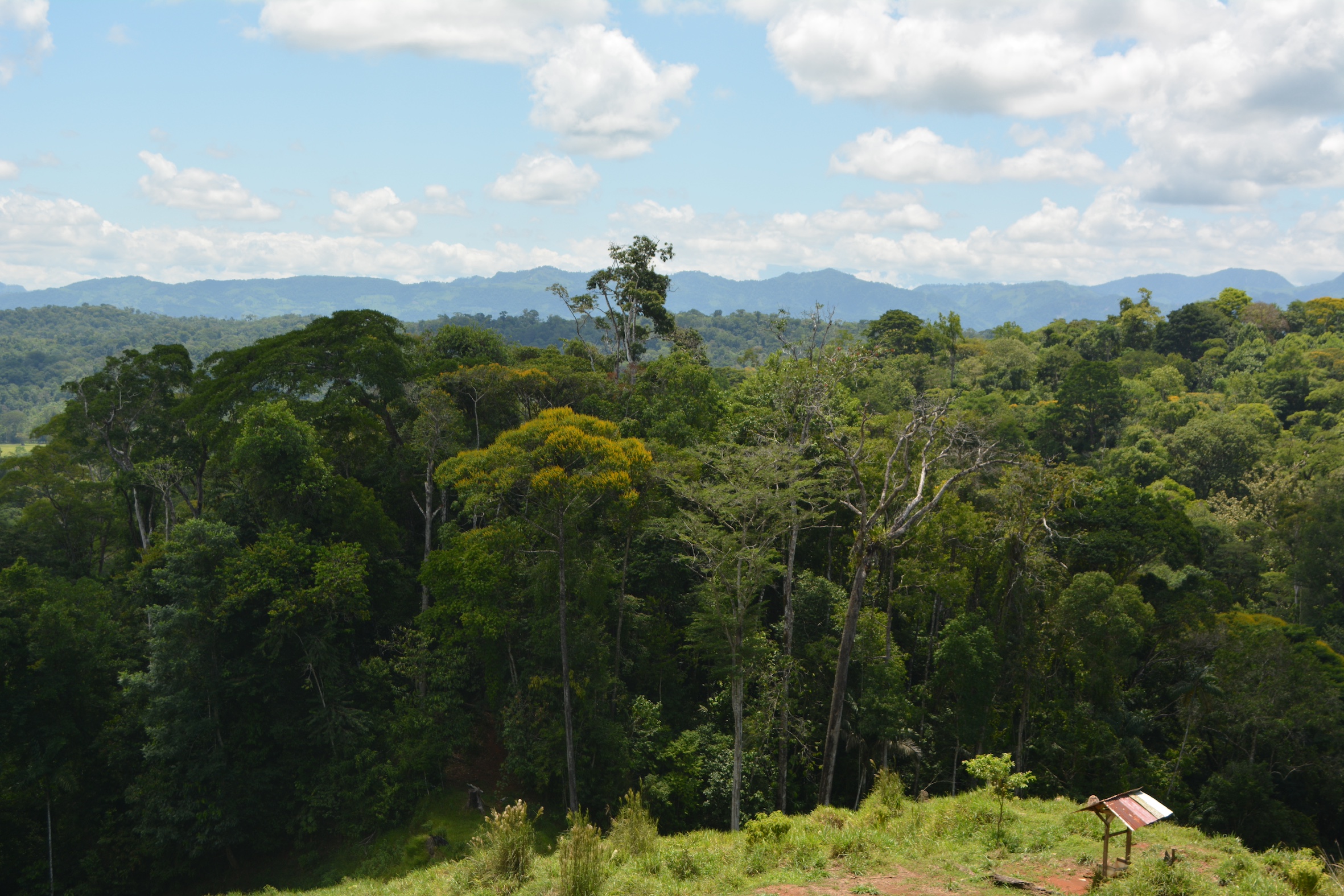 0 bed Land For Sale in Puerto Jimenez, Puntarenas - thumb 17