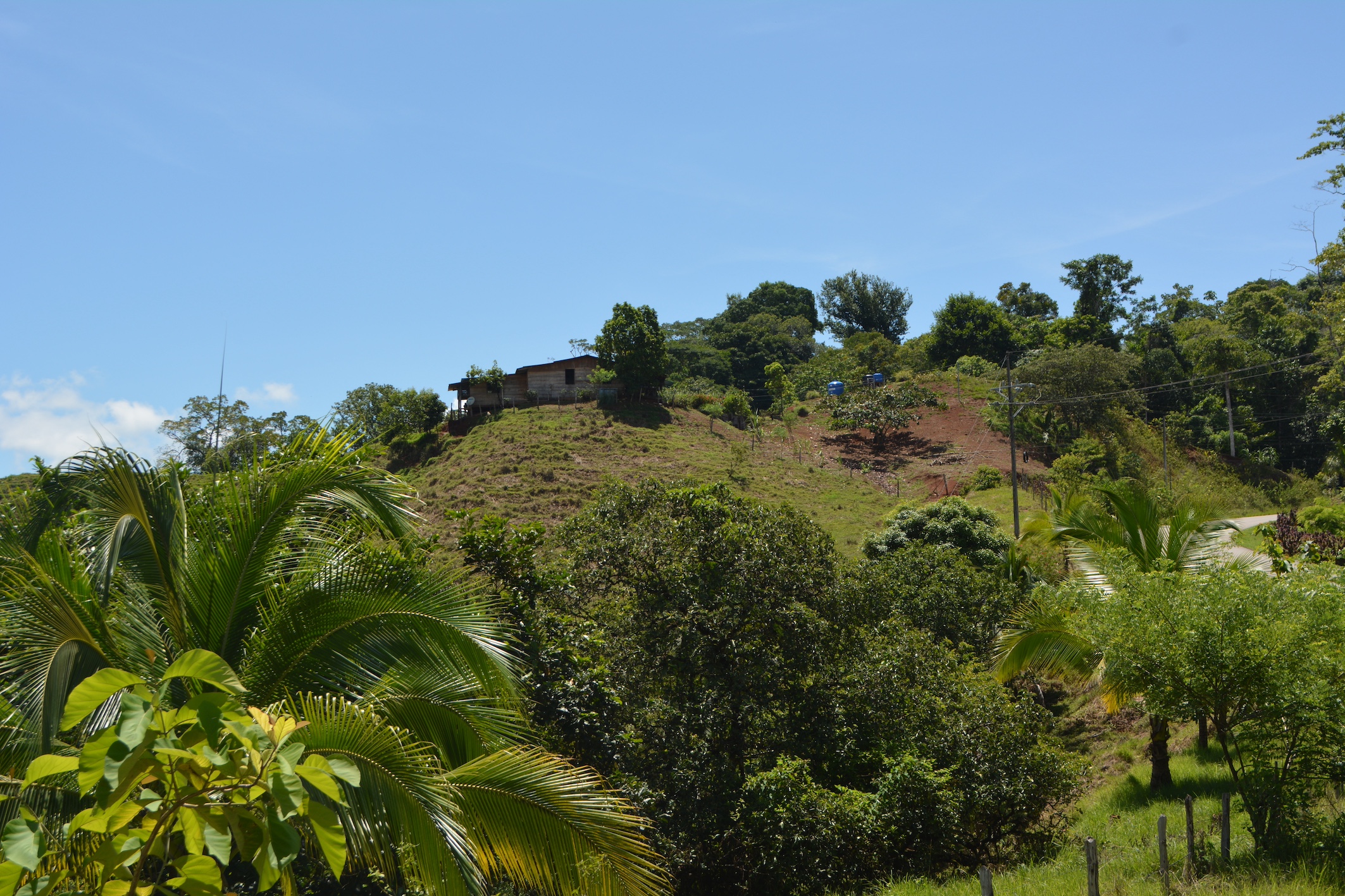 0 bed Land For Sale in Puerto Jimenez, Puntarenas - thumb 22