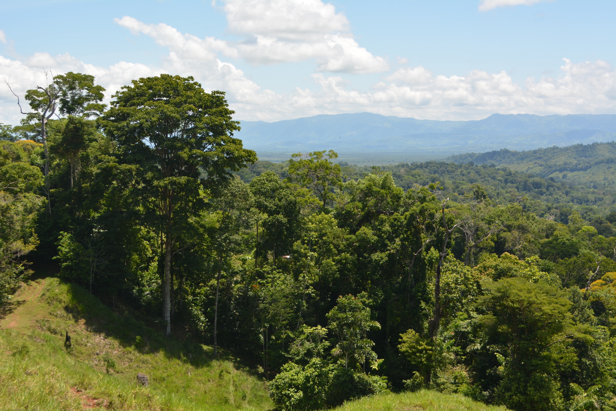 0 bed Land For Sale in Puerto Jimenez, Puntarenas - thumb 15