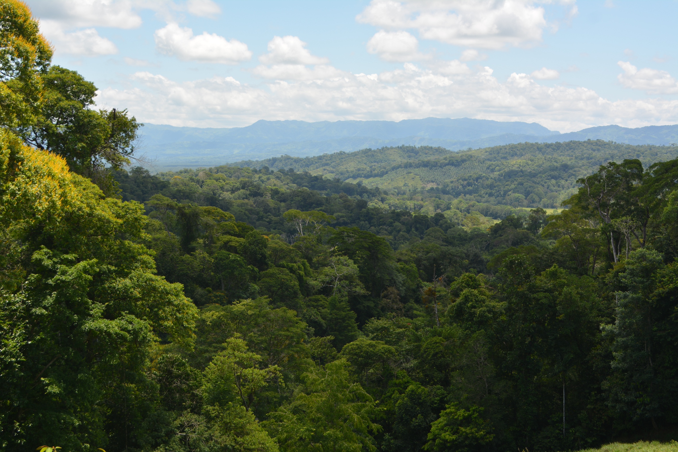 0 bed Land For Sale in Puerto Jimenez, Puntarenas - thumb 18