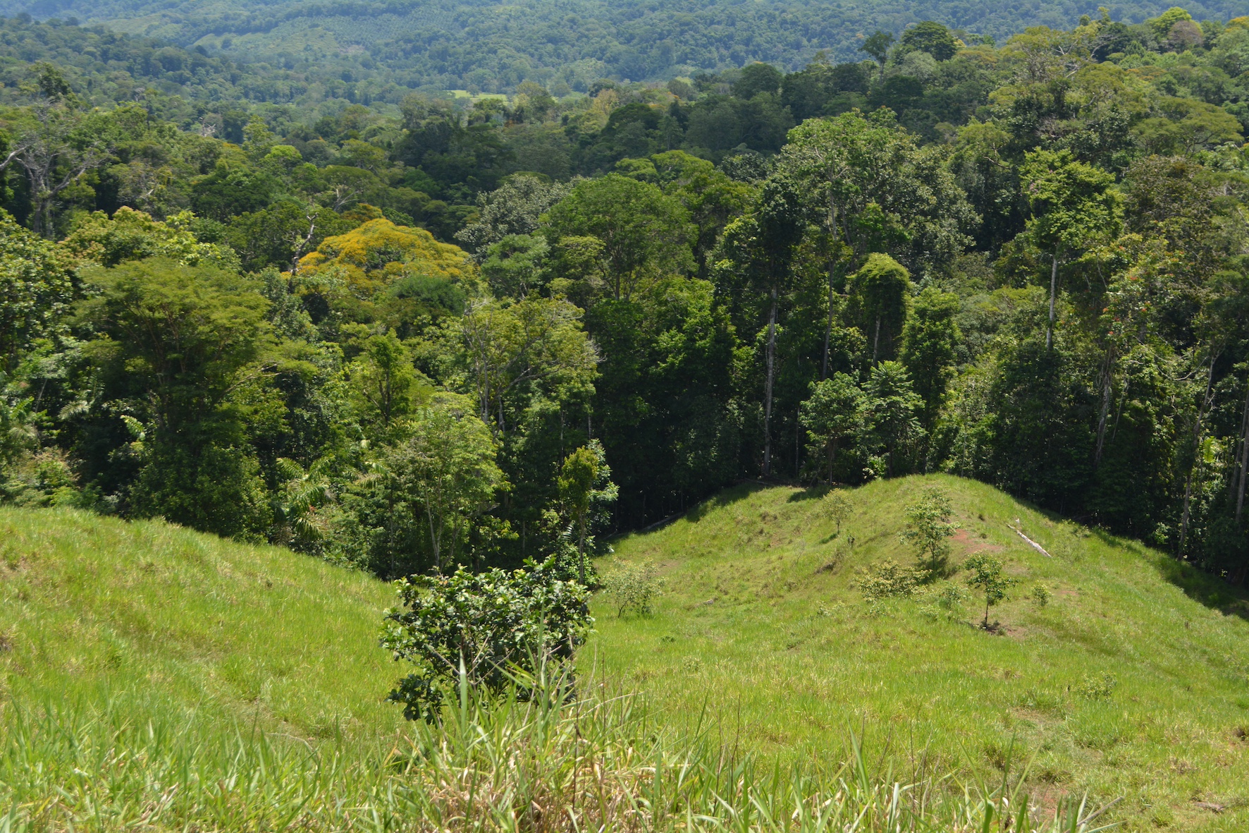 0 bed Land For Sale in Puerto Jimenez, Puntarenas - thumb 20