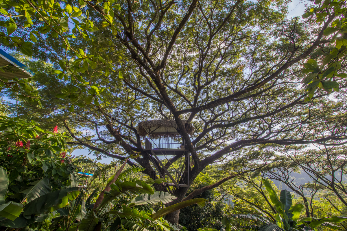 5 bed Single Family Homes For Sale in Santiago, Puntarenas - thumb 5