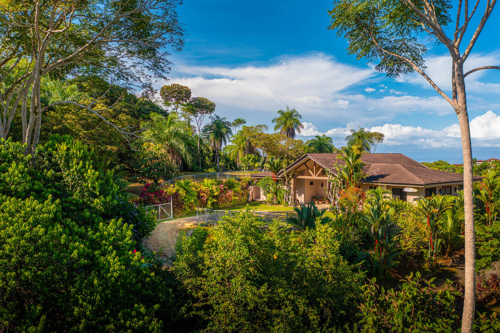 4 bed Single Family Homes For Sale in Ojochal, Puntarenas - thumb 1