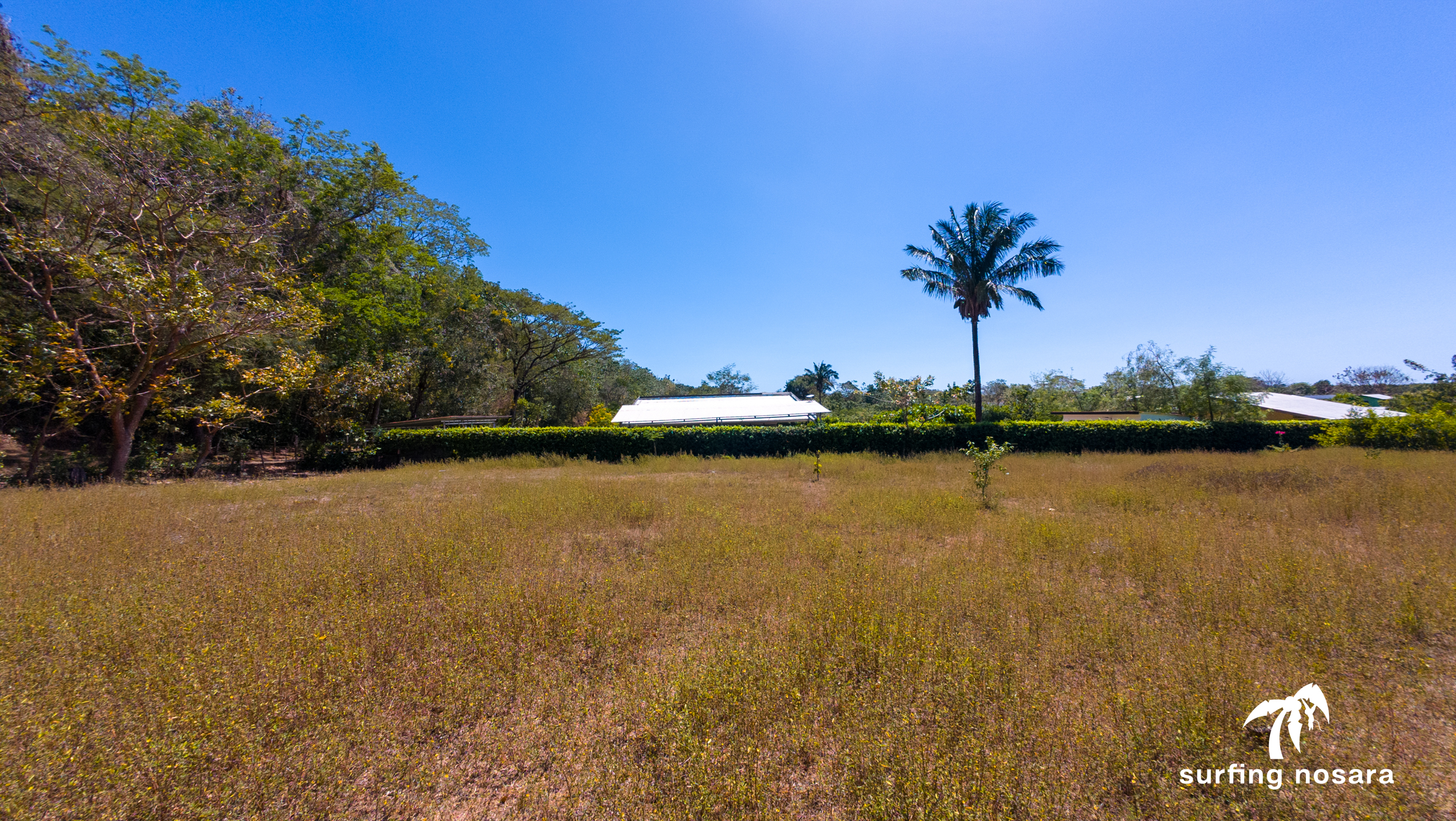 0 bed Land For Sale in Nosara, Guanacaste - thumb 7