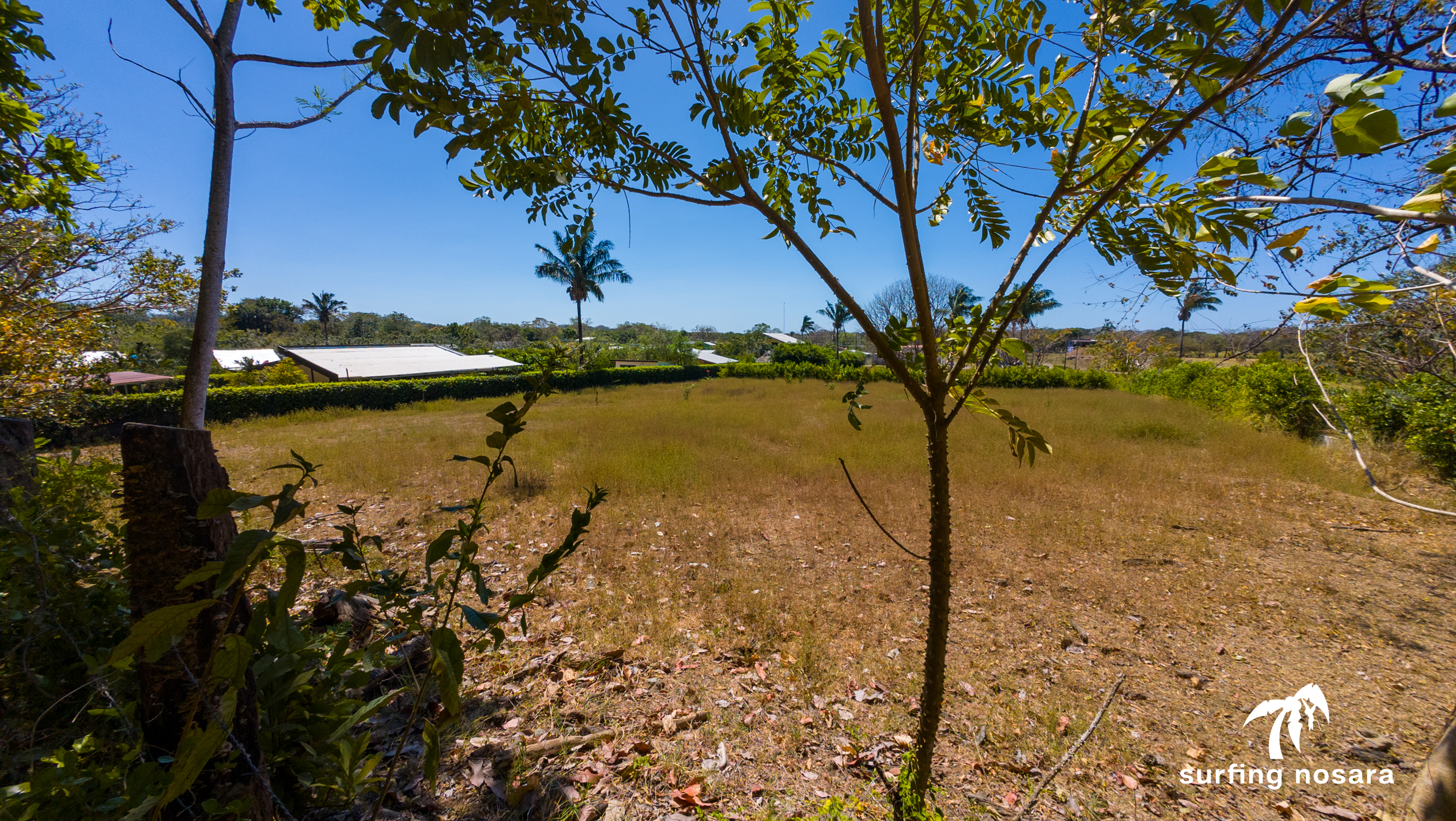 0 bed Land For Sale in Nosara, Guanacaste - thumb 4