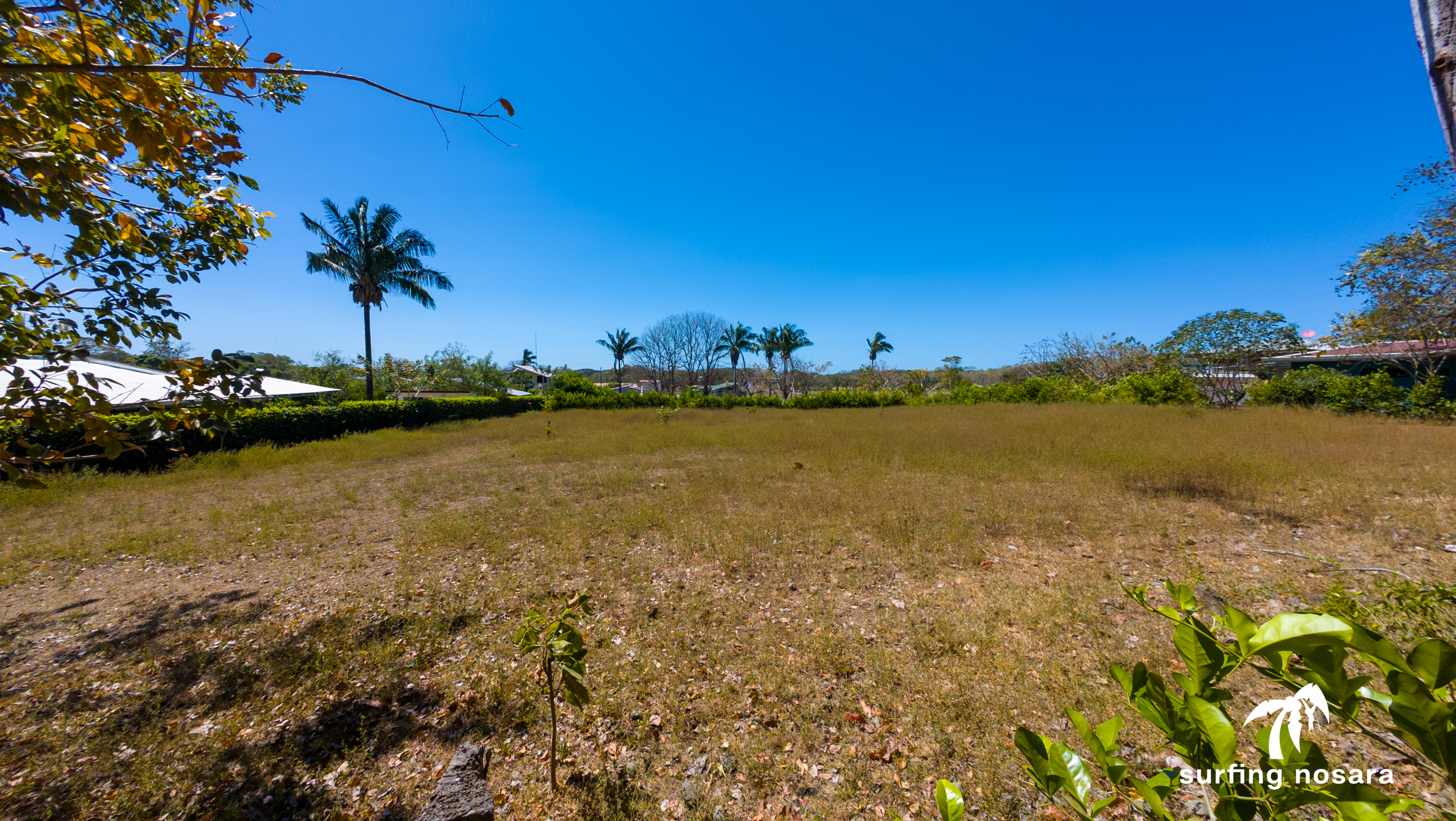 0 bed Land For Sale in Nosara, Guanacaste - thumb 3