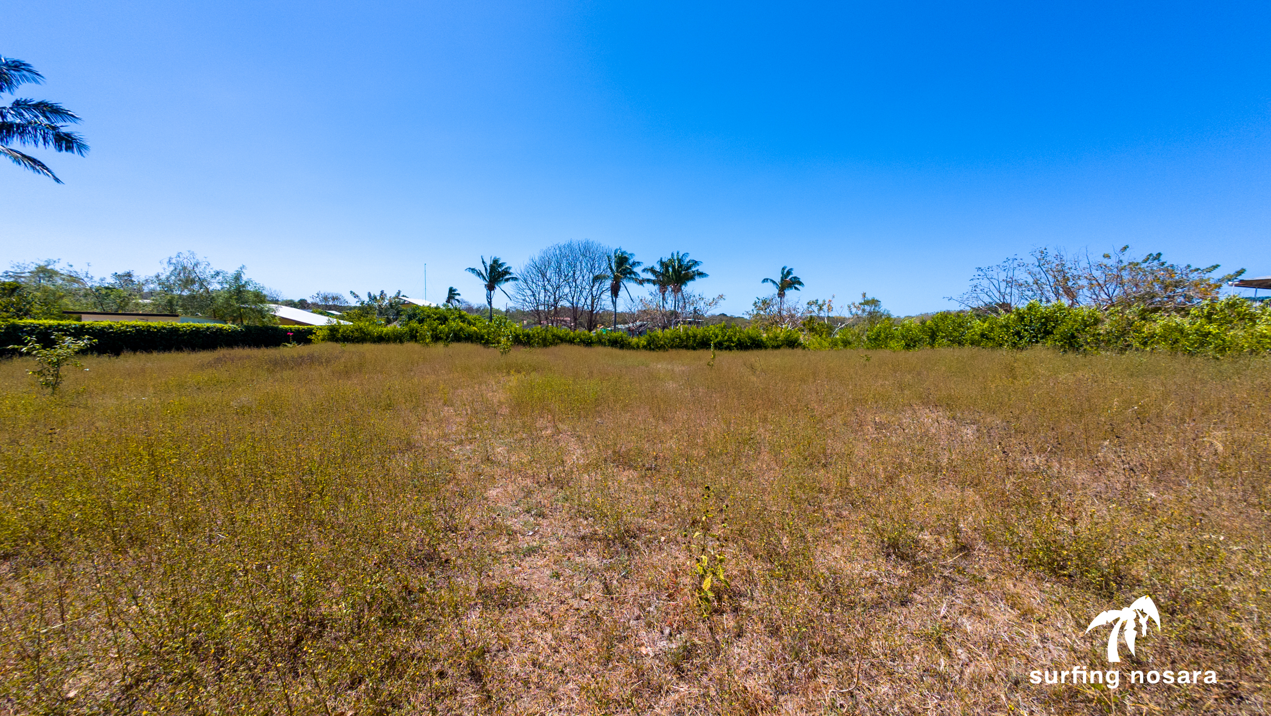 0 bed Land For Sale in Nosara, Guanacaste - thumb 5