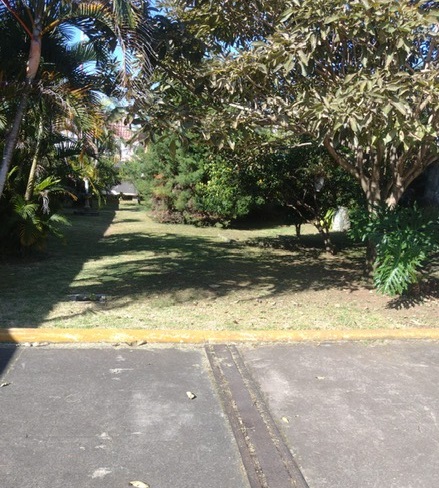 0 bed Land For Sale in Zapote, San Jose - thumb 6