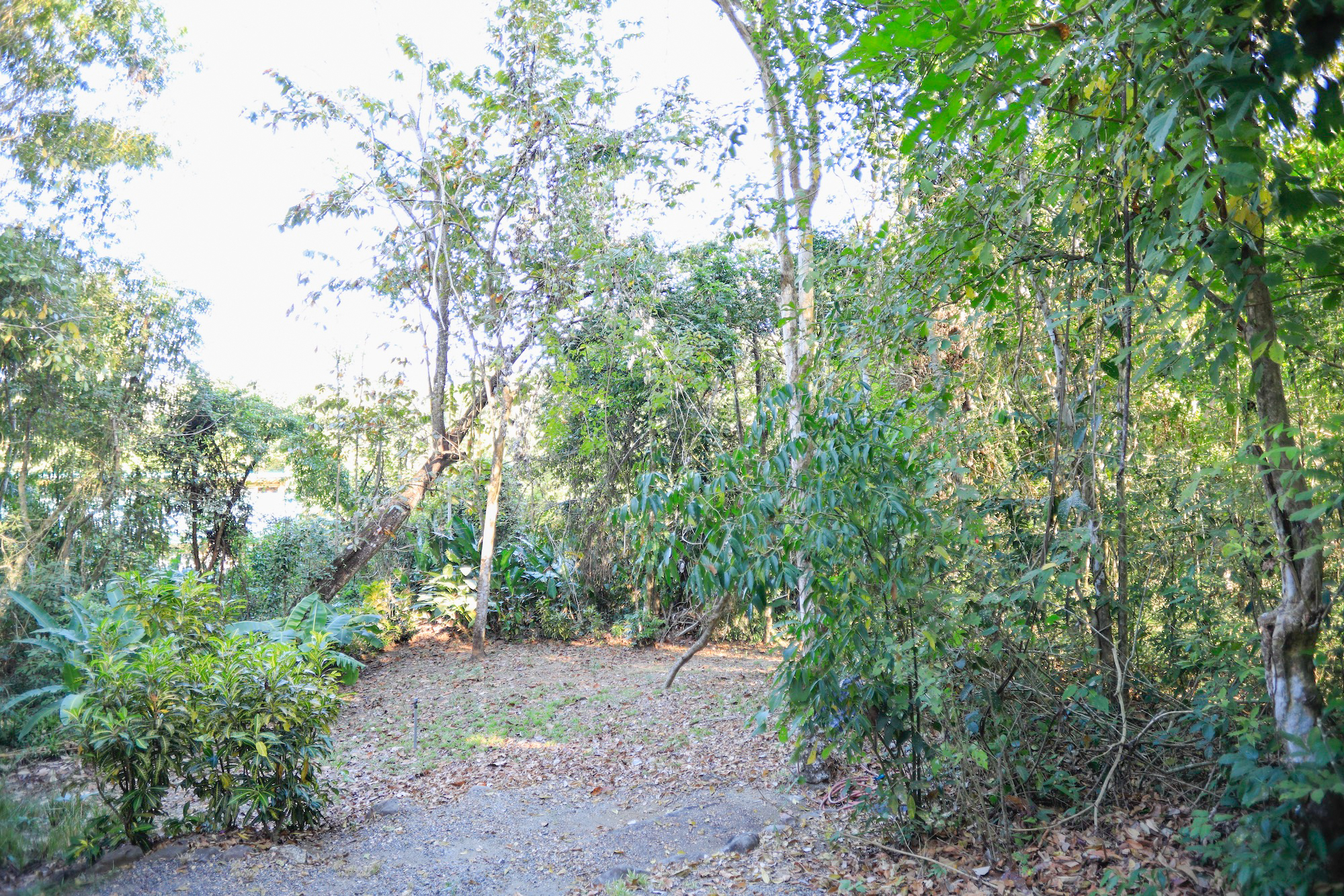 1 bed Apartment For Sale in Malpais, Puntarenas - thumb 9