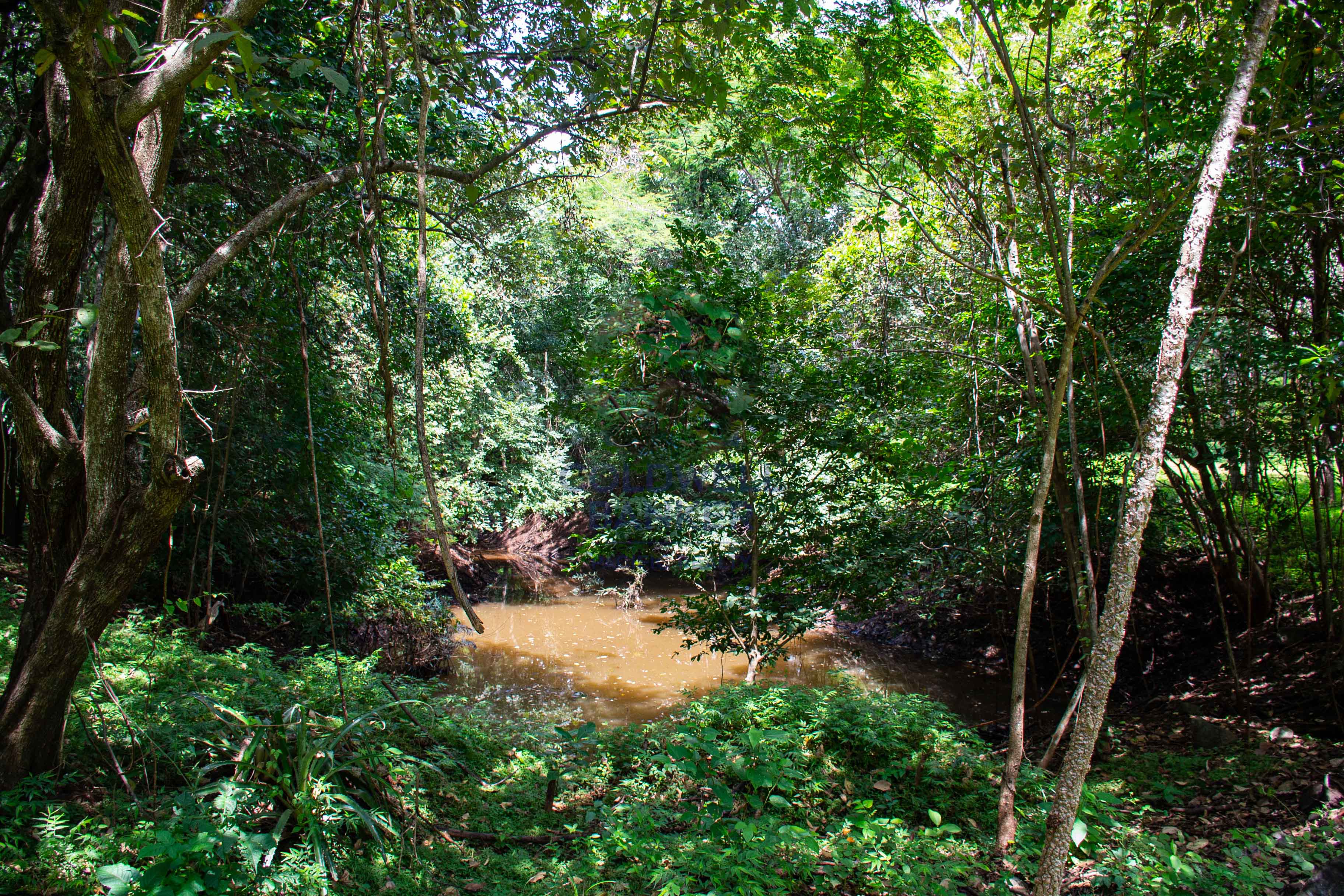 0 bed Communities For Sale in , Guanacaste - thumb 6