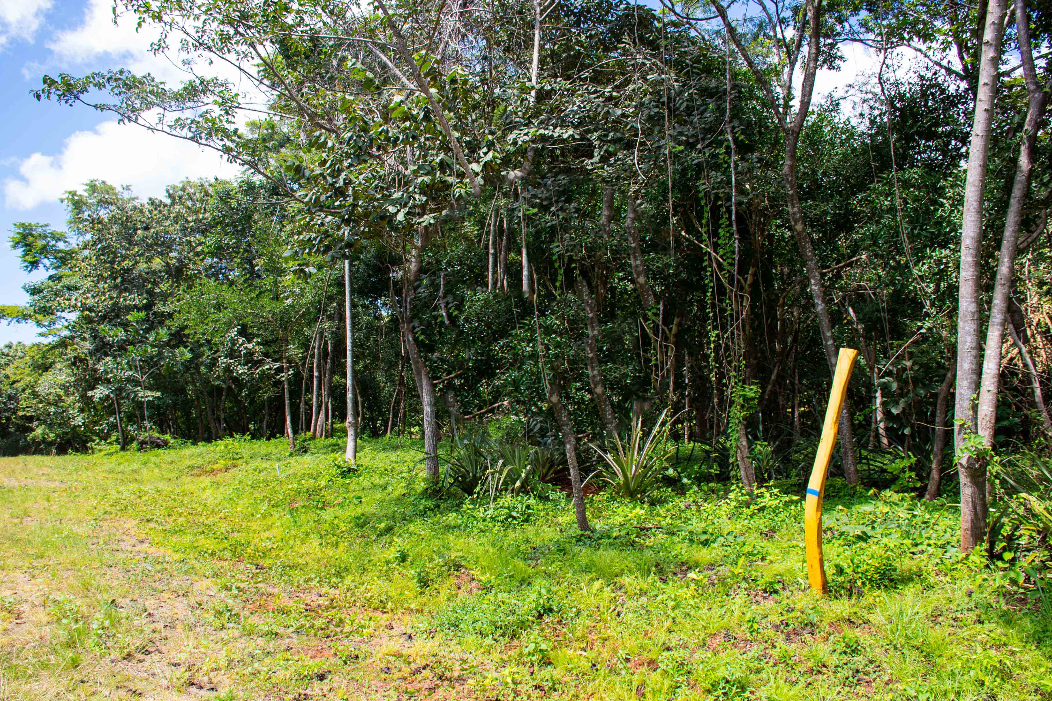 0 bed Communities For Sale in , Guanacaste - thumb 10