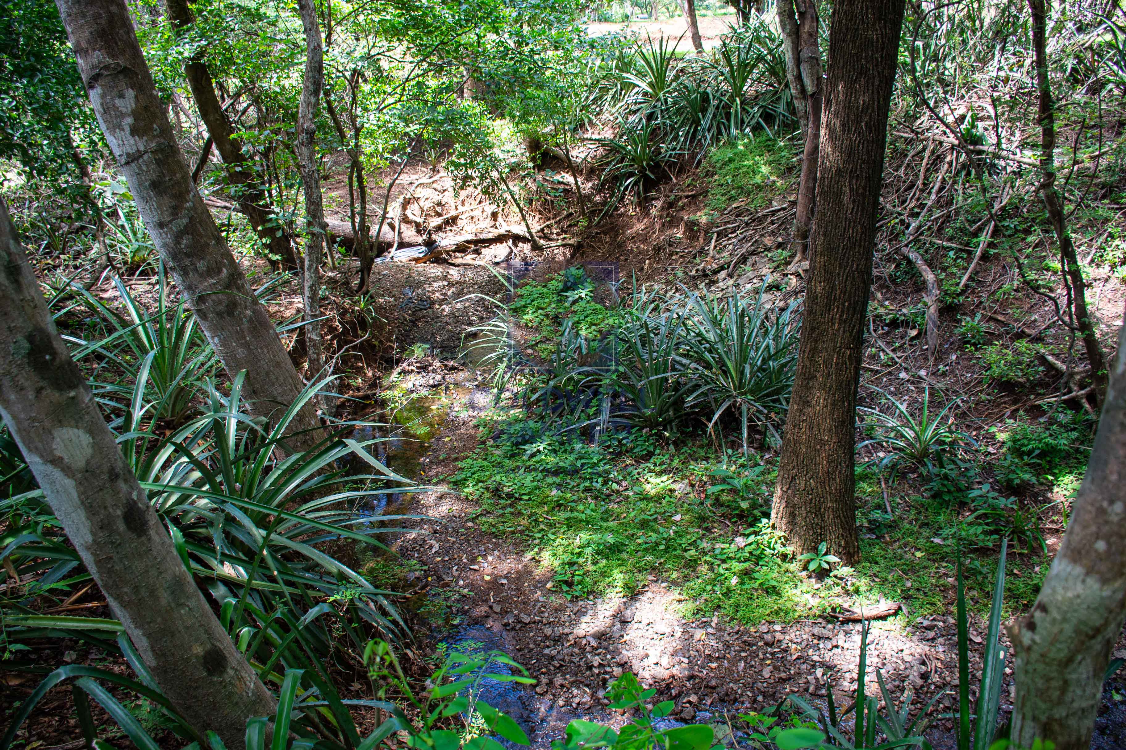 0 bed Communities For Sale in , Guanacaste - thumb 4