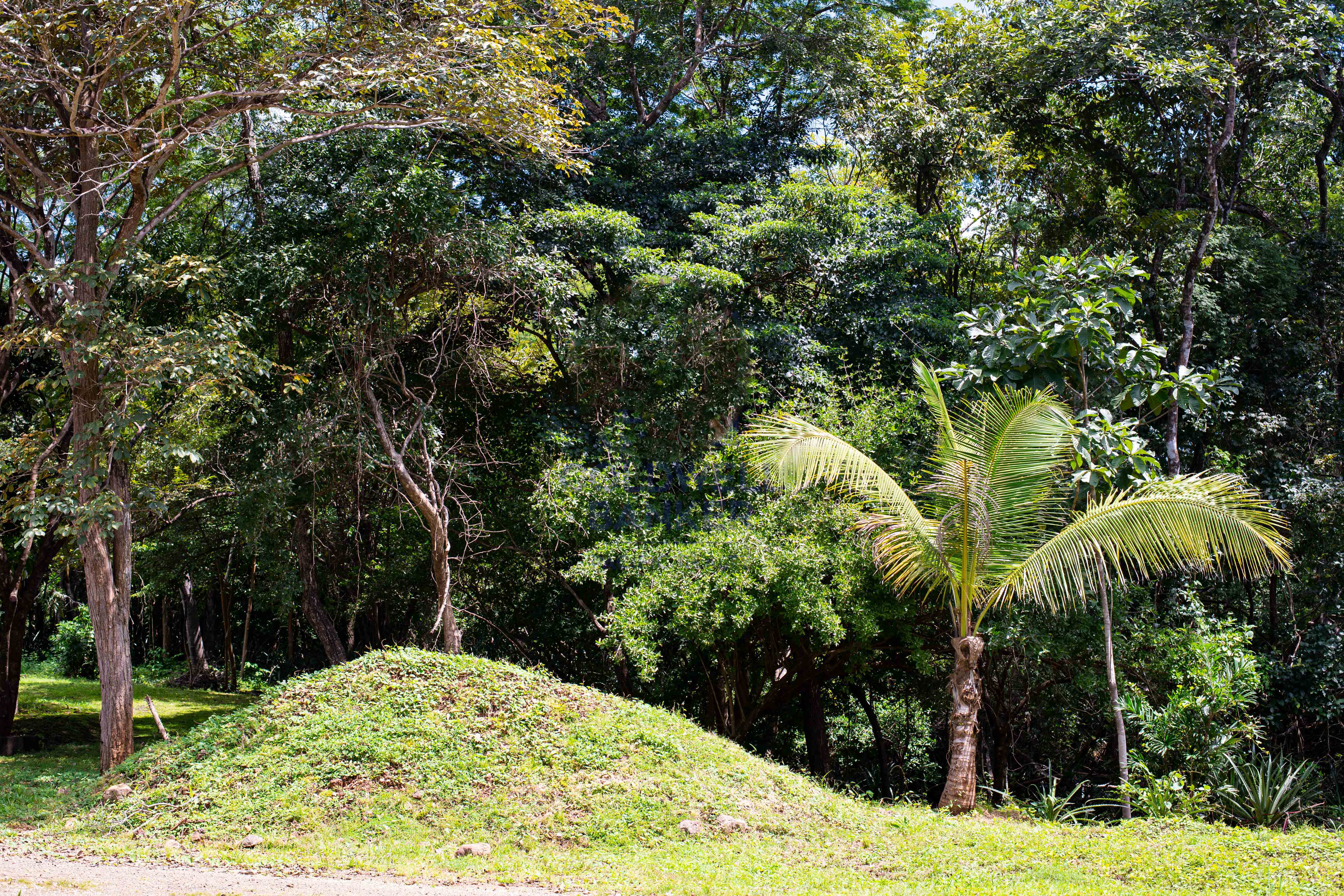 0 bed Communities For Sale in , Guanacaste - thumb 2