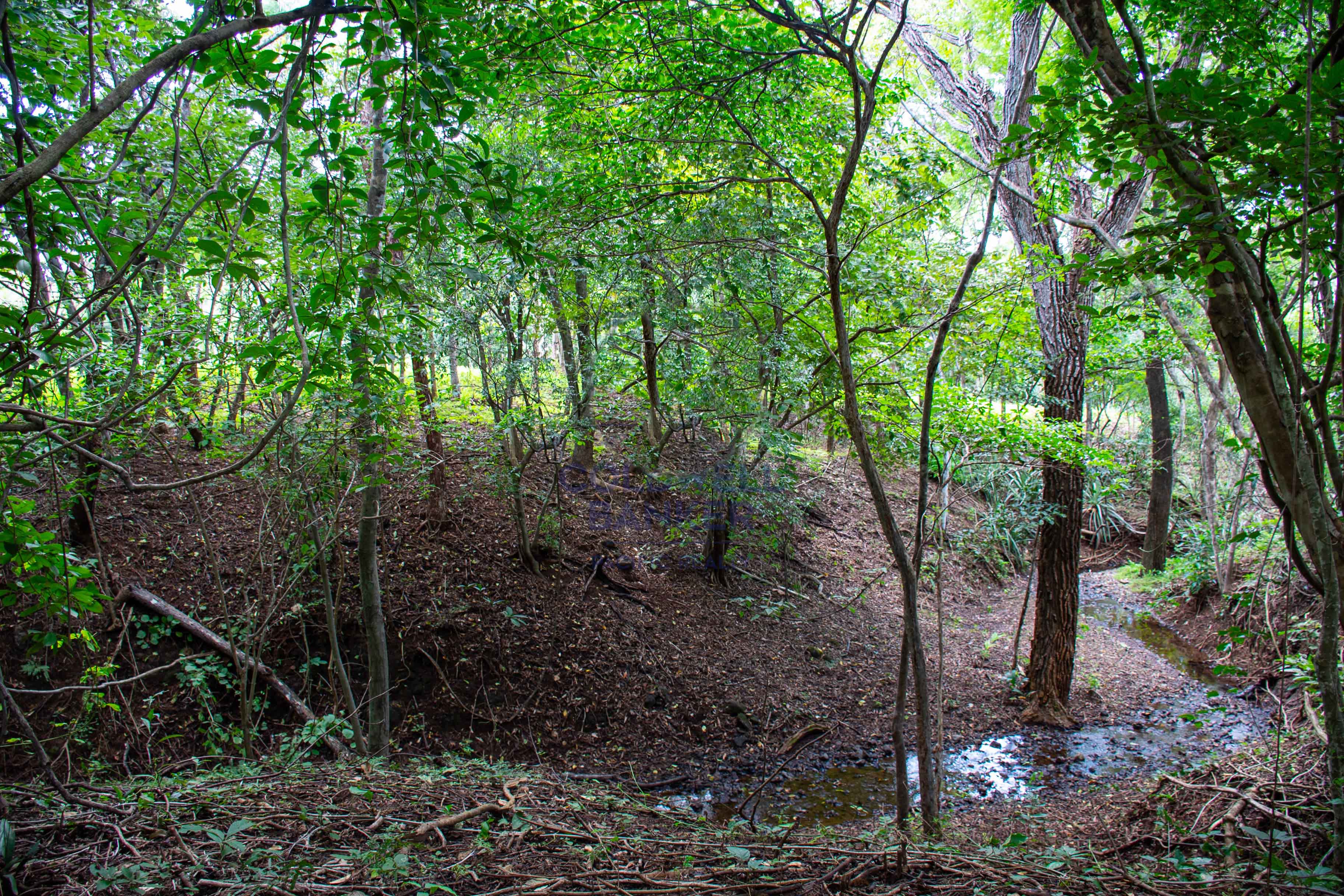 0 bed Communities For Sale in , Guanacaste - thumb 5