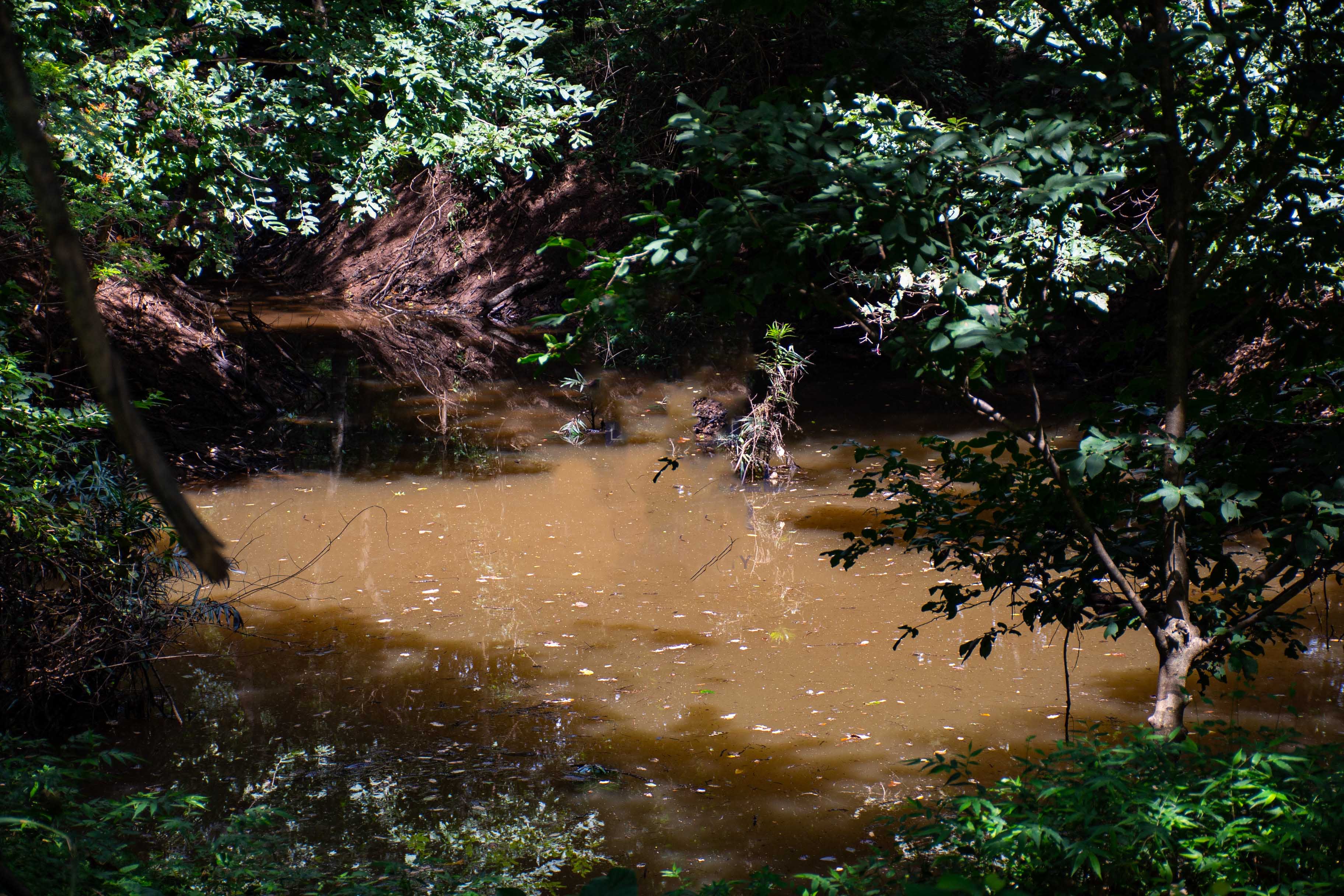 0 bed Communities For Sale in , Guanacaste - thumb 7