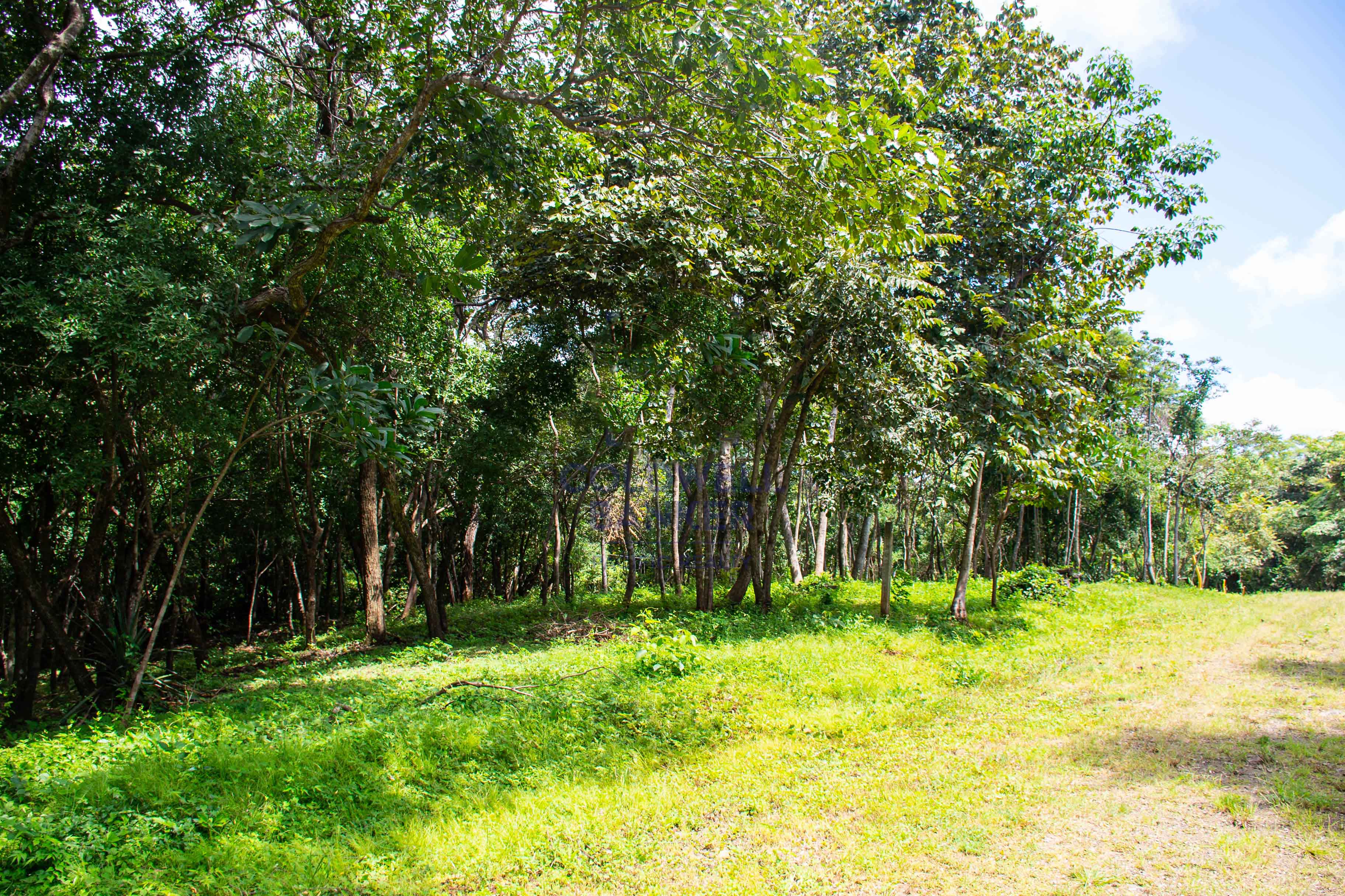 0 bed Communities For Sale in , Guanacaste - thumb 8