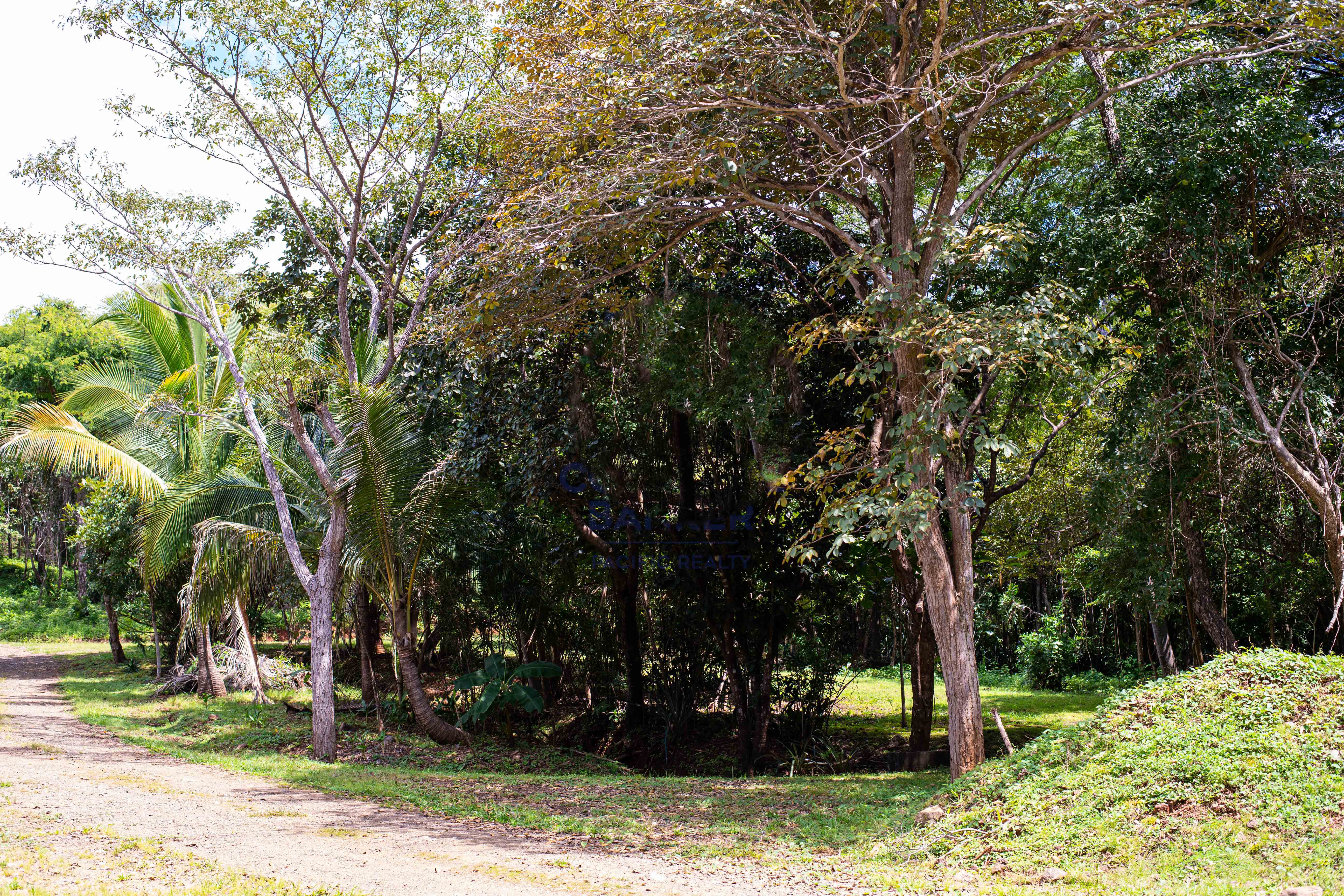0 bed Communities For Sale in , Guanacaste - thumb 9