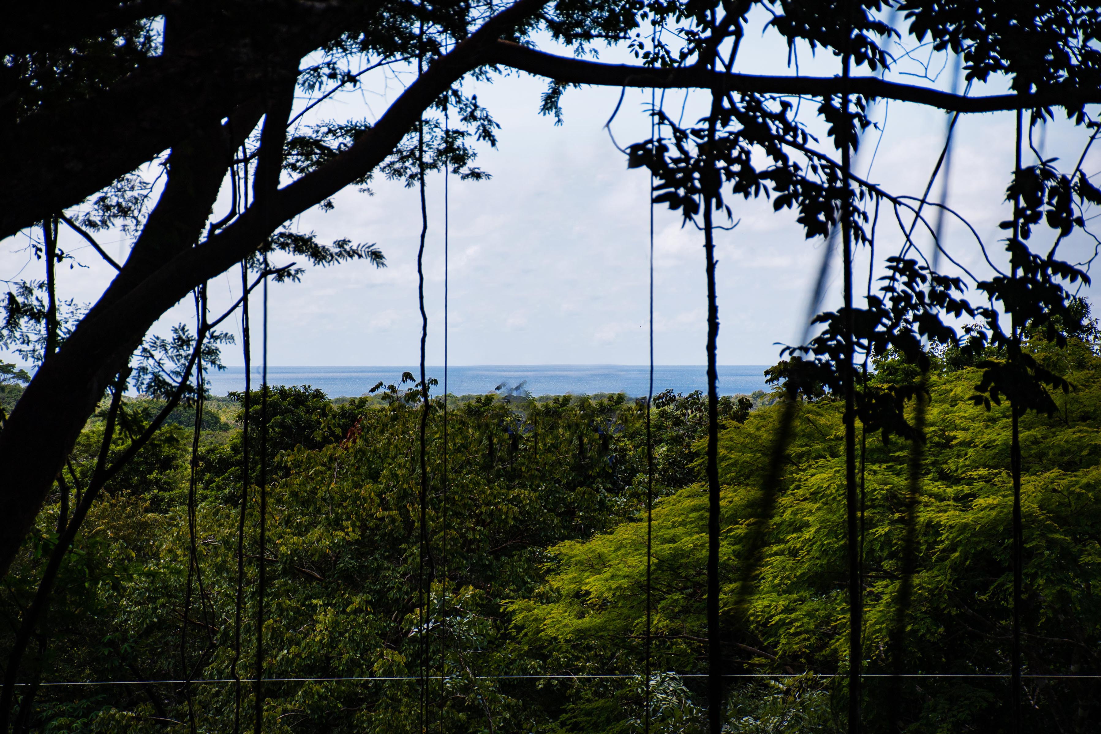 0 bed Communities For Sale in , Guanacaste - thumb 1