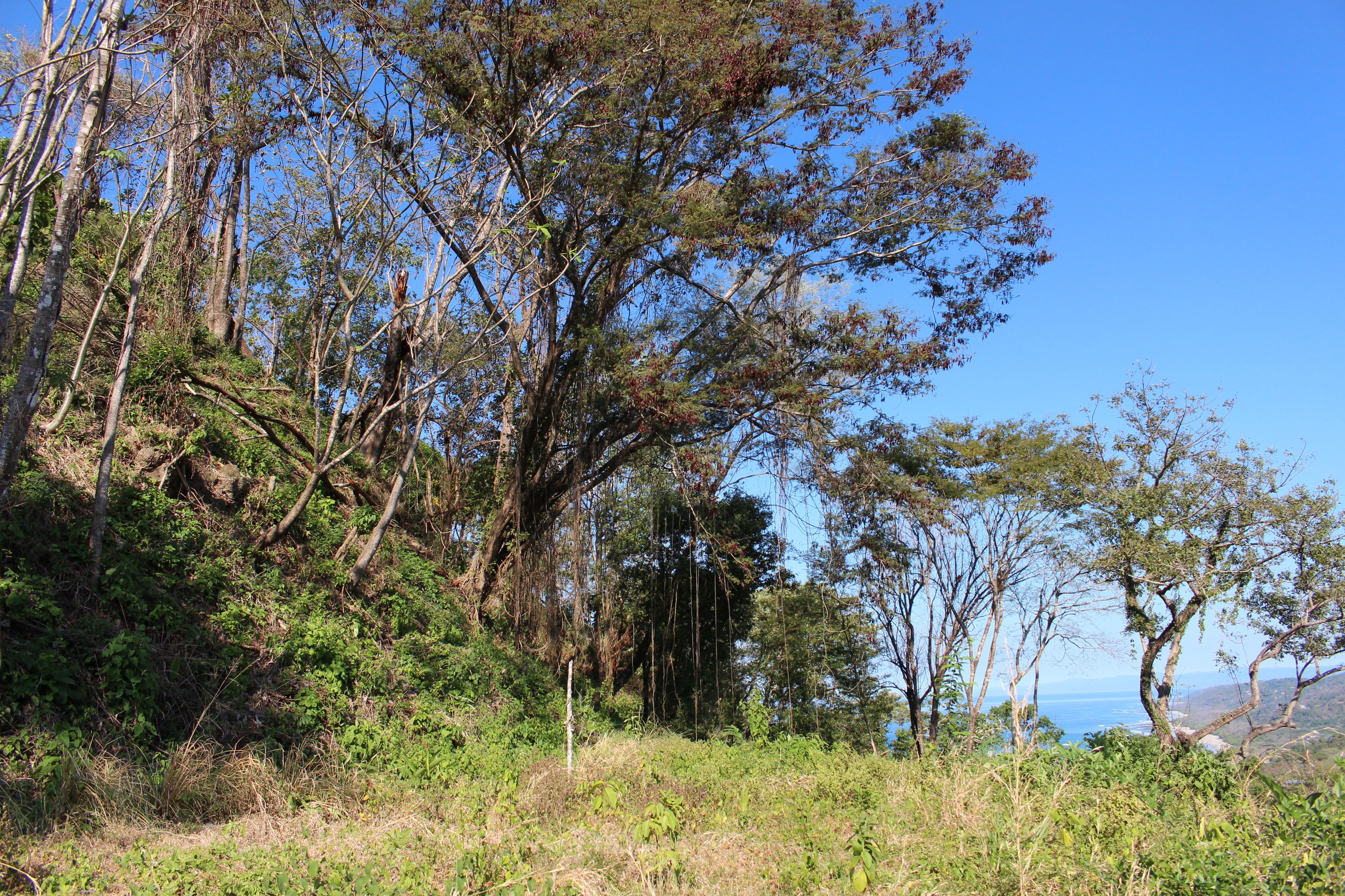 0 bed Land For Sale in Malpais, Puntarenas - thumb 9