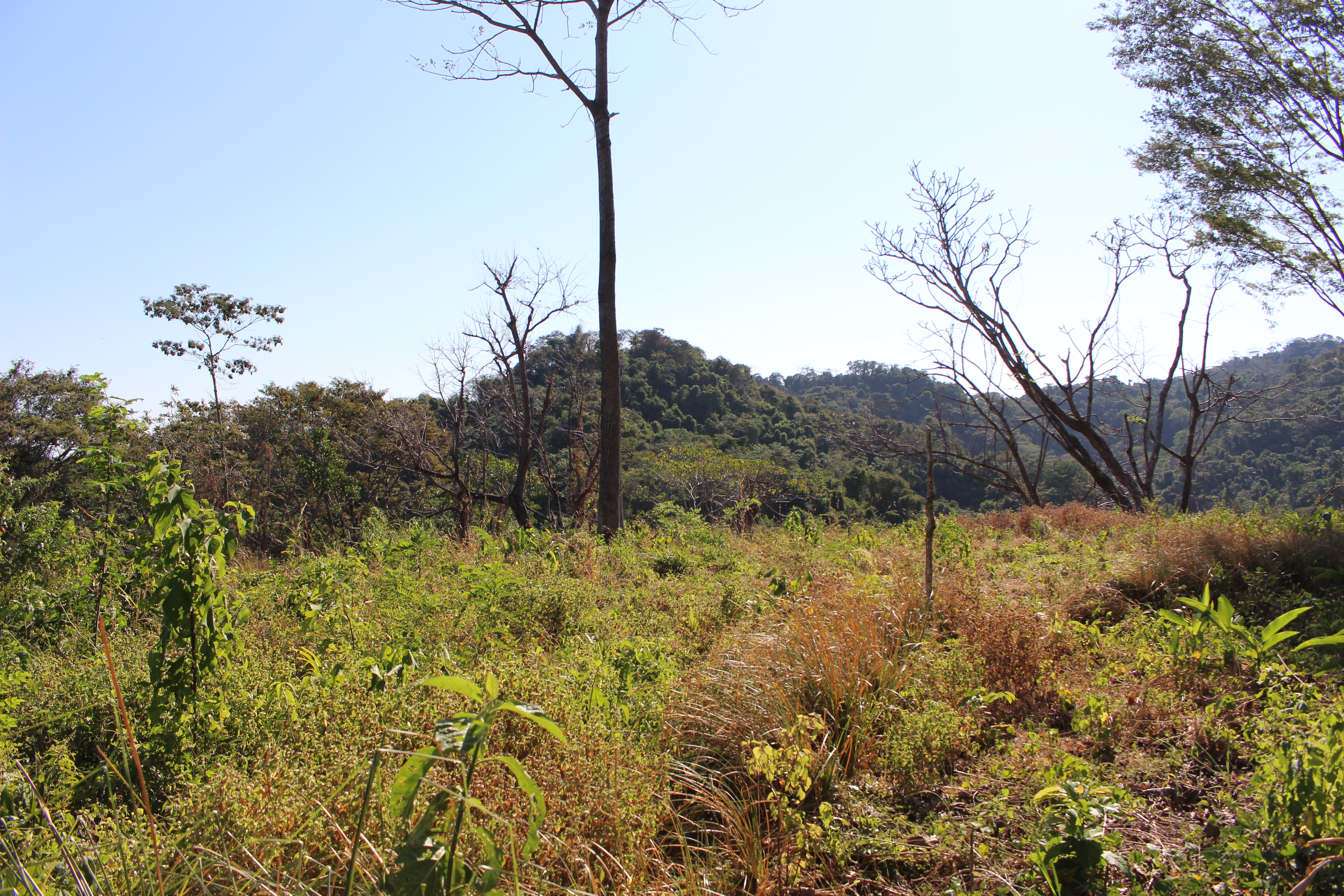 0 bed Land For Sale in Malpais, Puntarenas - thumb 10