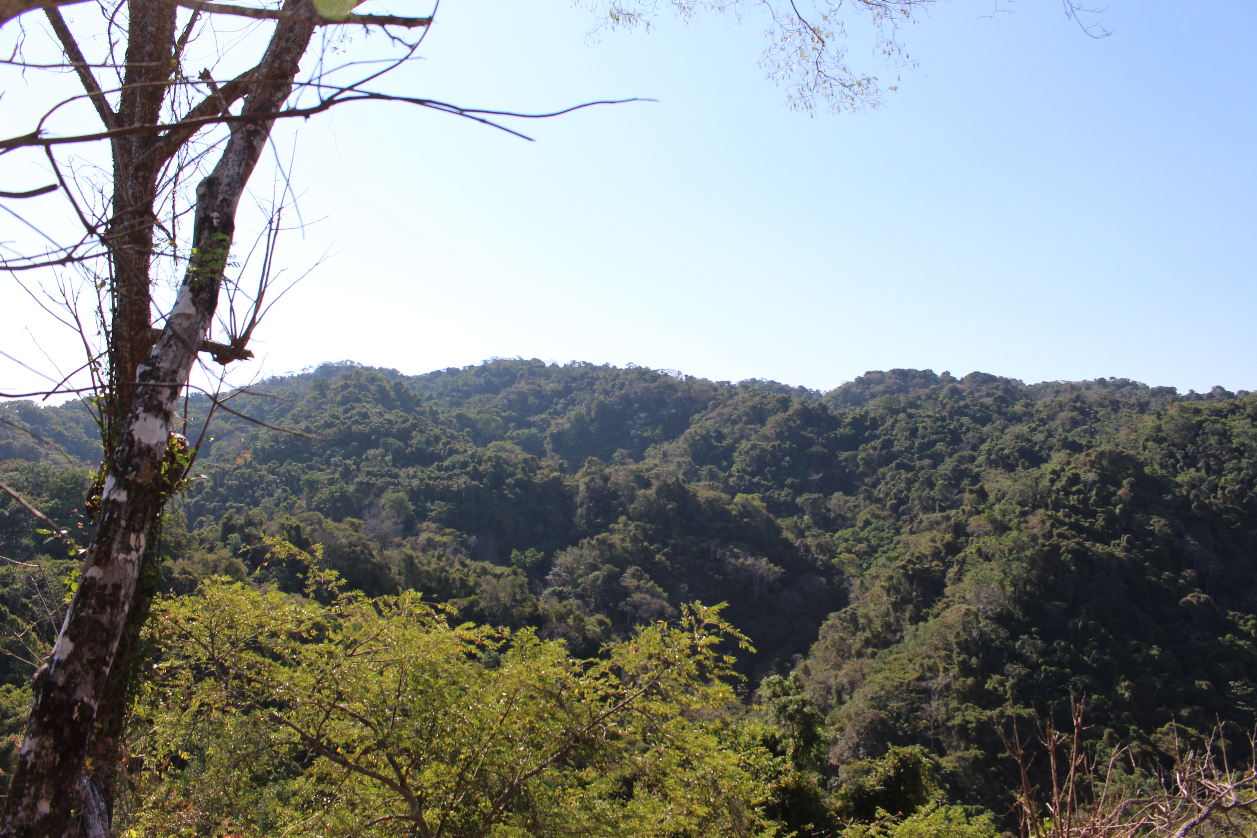 0 bed Land For Sale in Malpais, Puntarenas - thumb 8