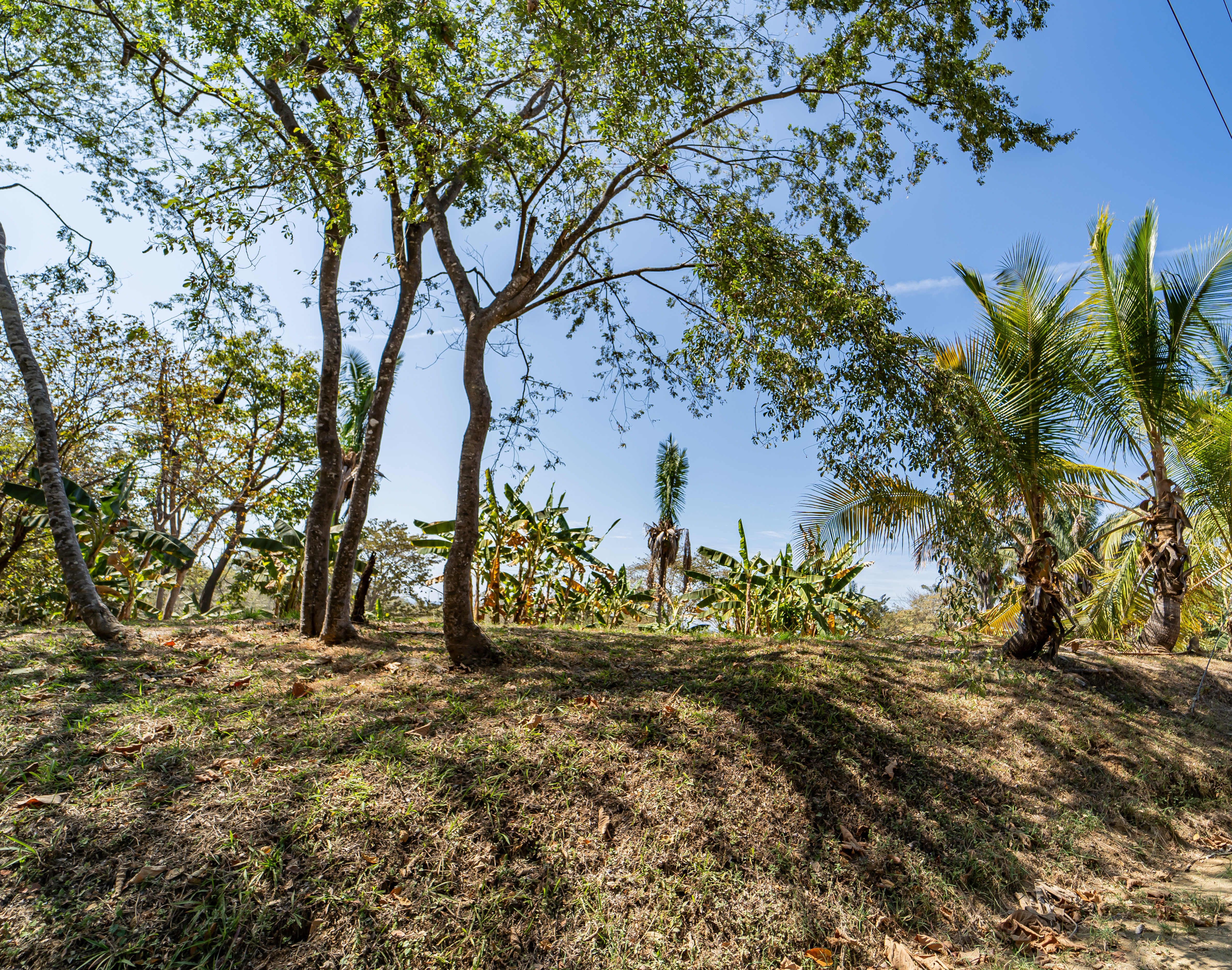 0 bed Land For Sale in Playa Carrillo, Guanacaste - thumb 7