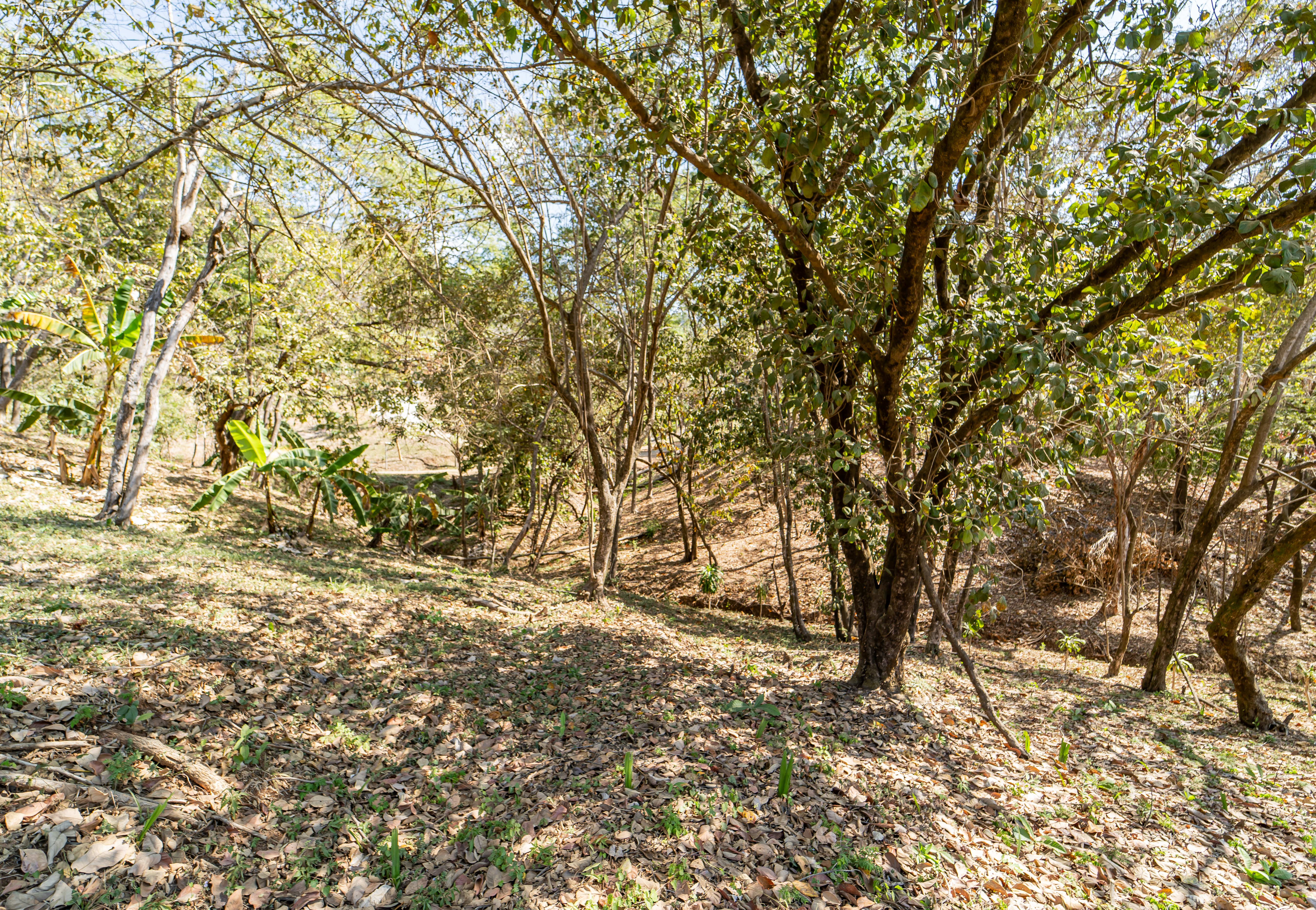 0 bed Land For Sale in Playa Carrillo, Guanacaste - thumb 14