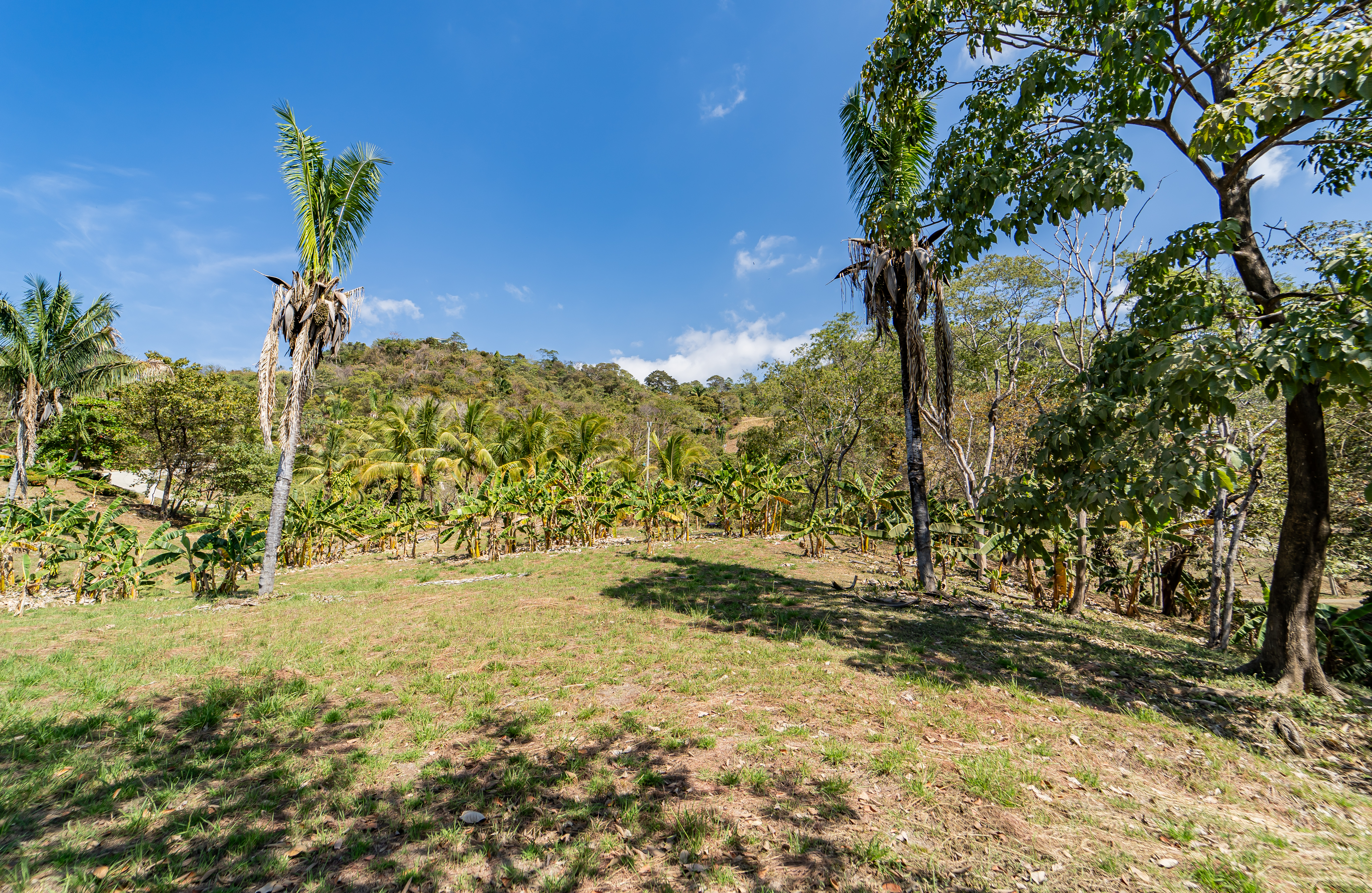 0 bed Land For Sale in Playa Carrillo, Guanacaste - thumb 13