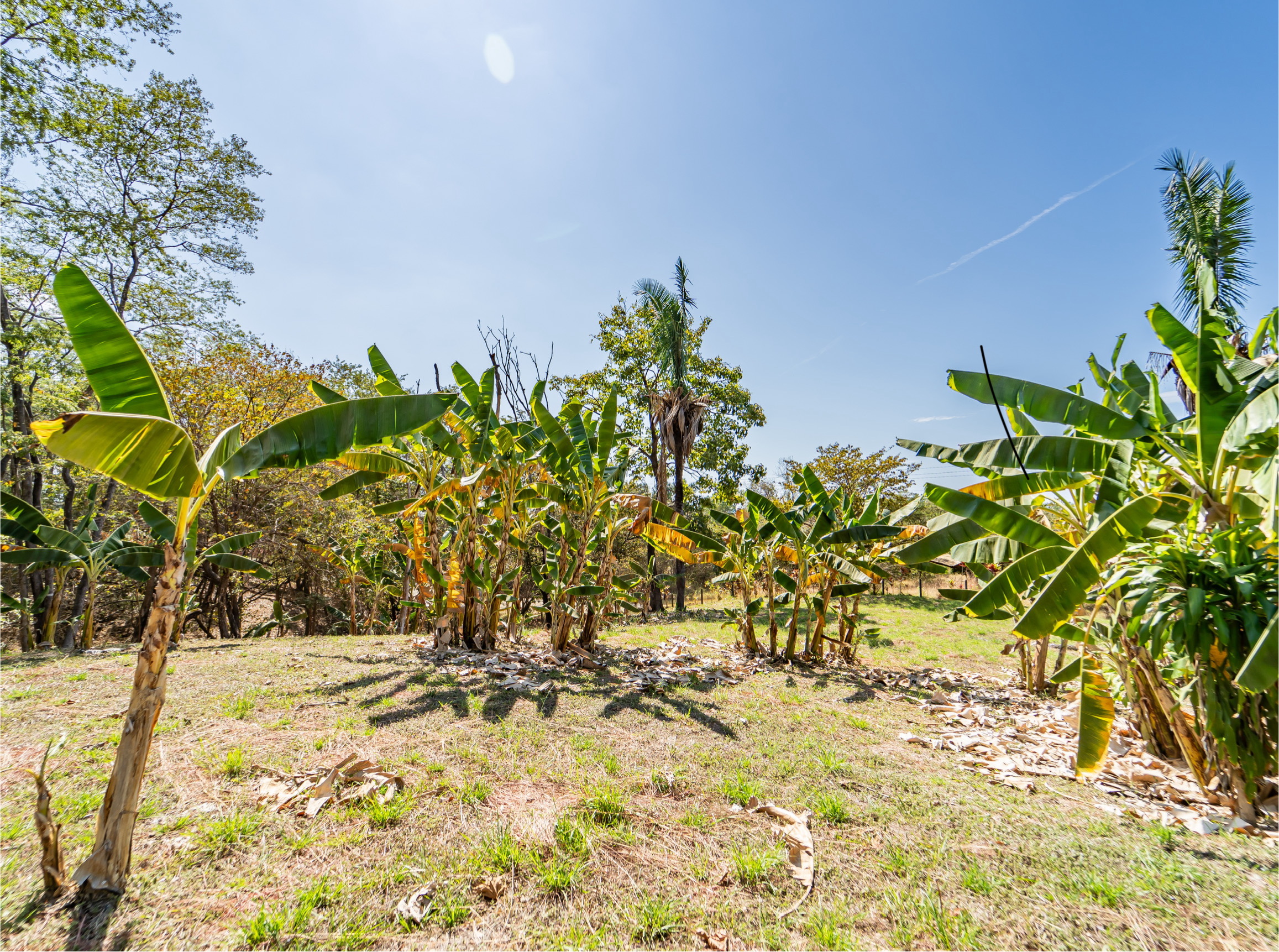 0 bed Land For Sale in Playa Carrillo, Guanacaste - thumb 9