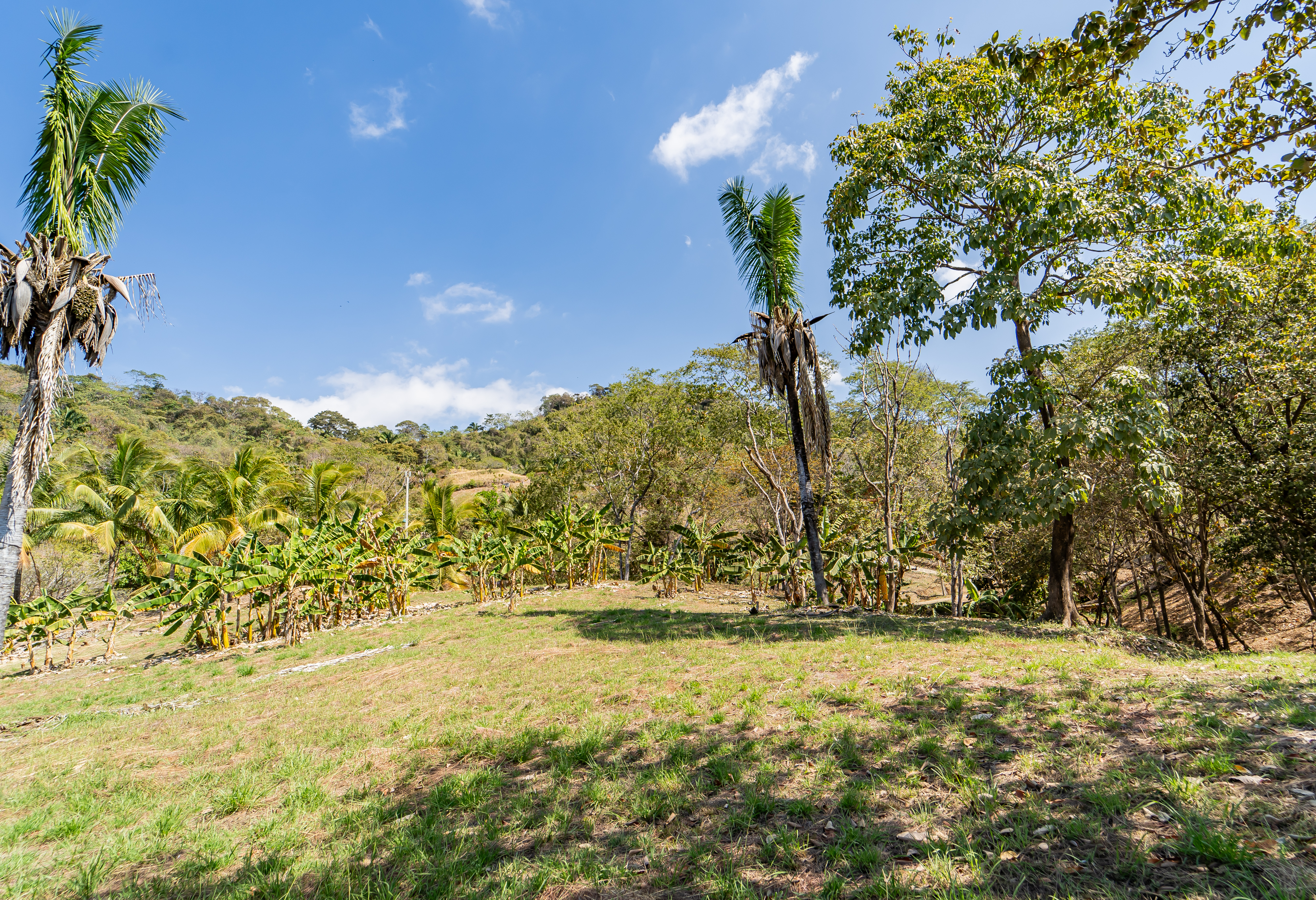 0 bed Land For Sale in Playa Carrillo, Guanacaste - thumb 12