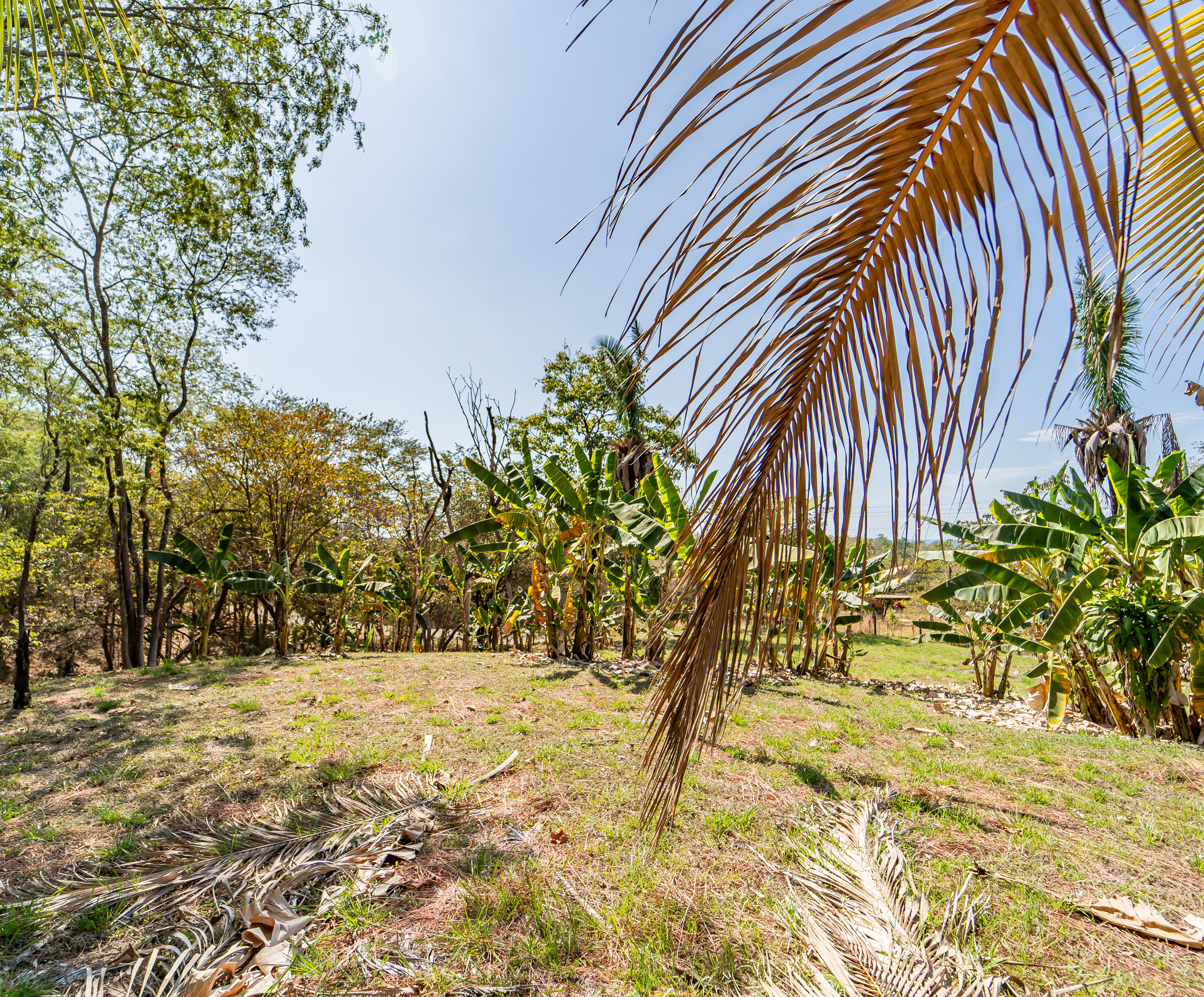 0 bed Land For Sale in Playa Carrillo, Guanacaste - thumb 8