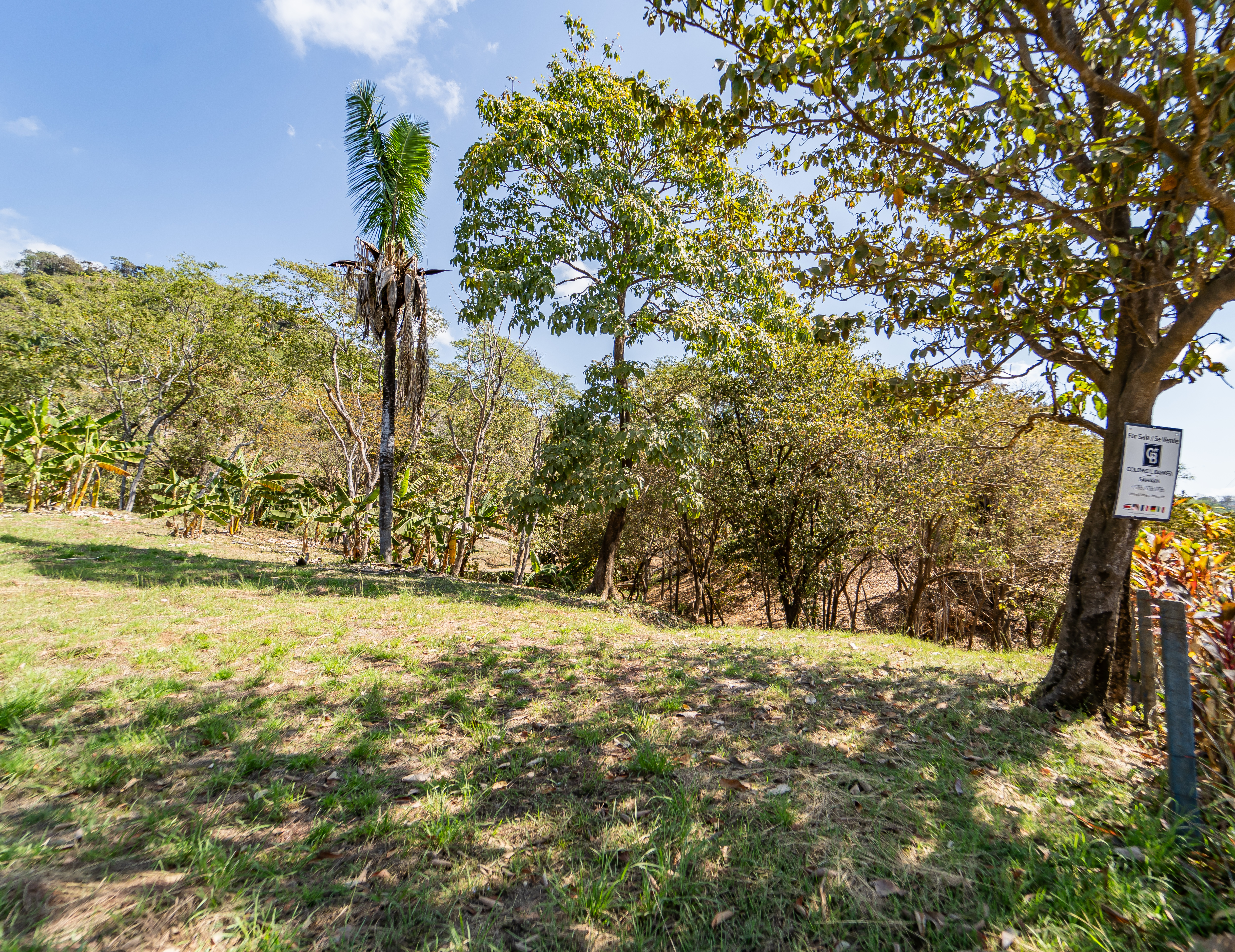 0 bed Land For Sale in Playa Carrillo, Guanacaste - thumb 11