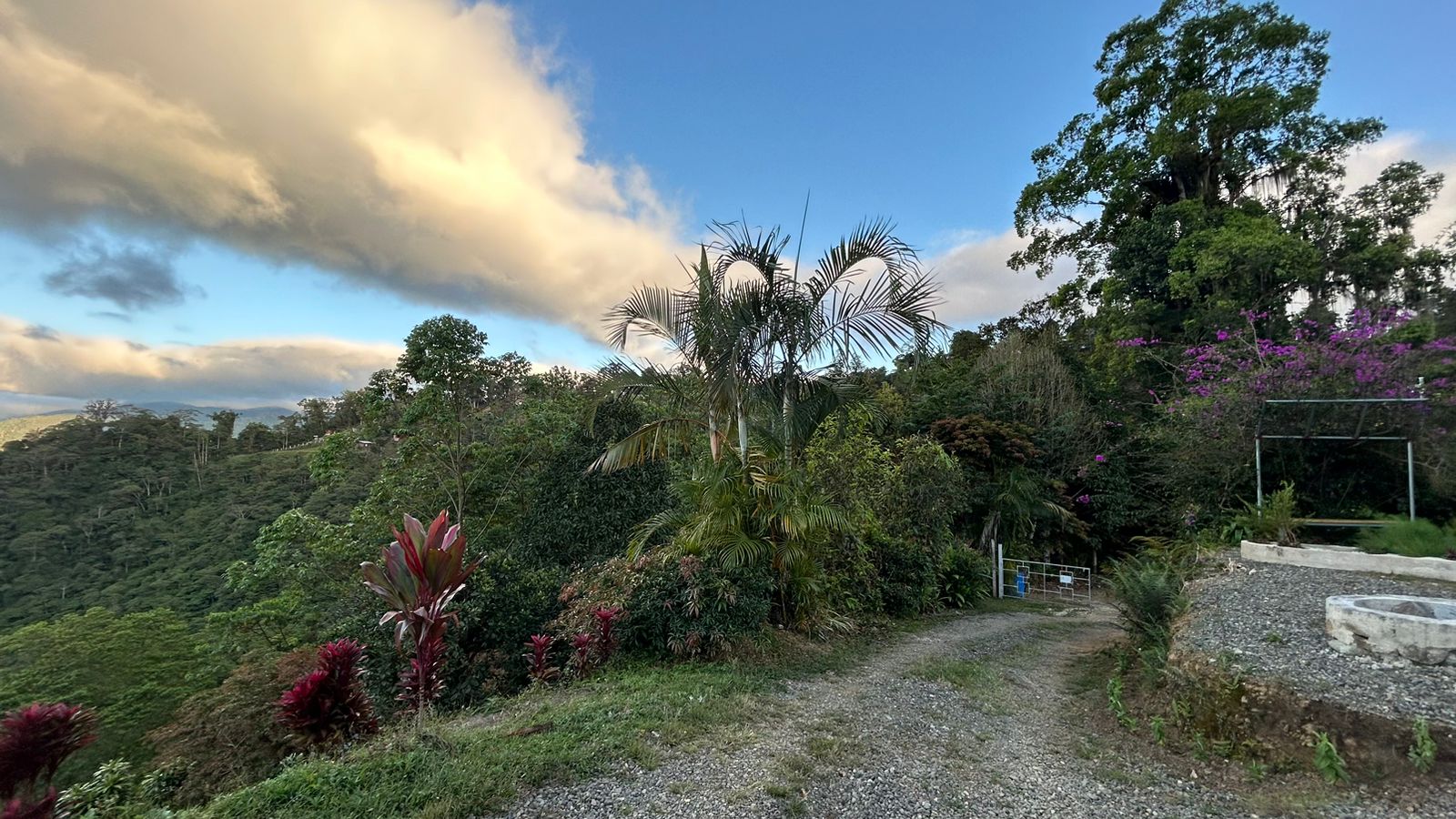 3 bed Single Family Homes For Sale in Orosi, Cartago - thumb 23