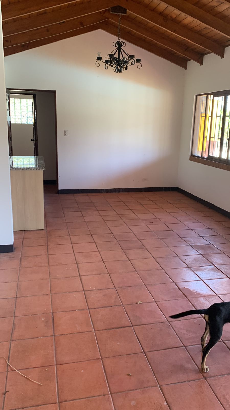 4 bed Single Family Homes For Rent in Brasil De Mora, San Jose - thumb 5