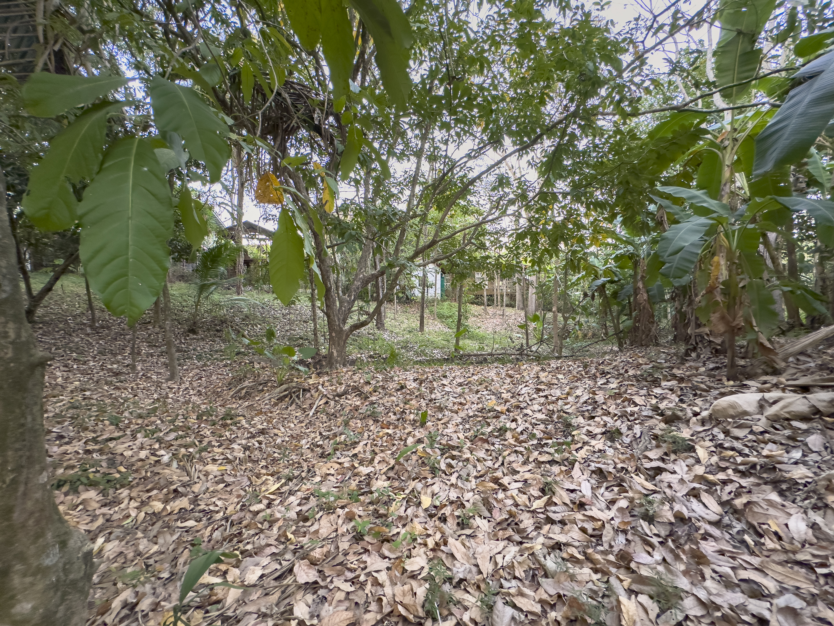 0 bed Land For Sale in Cabuya, Puntarenas - thumb 8