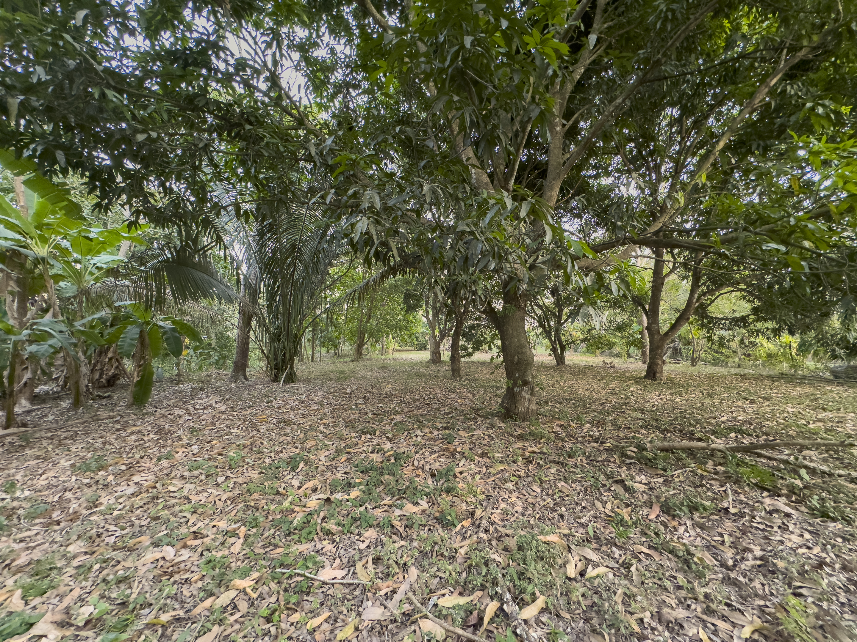 0 bed Land For Sale in Cabuya, Puntarenas - thumb 3