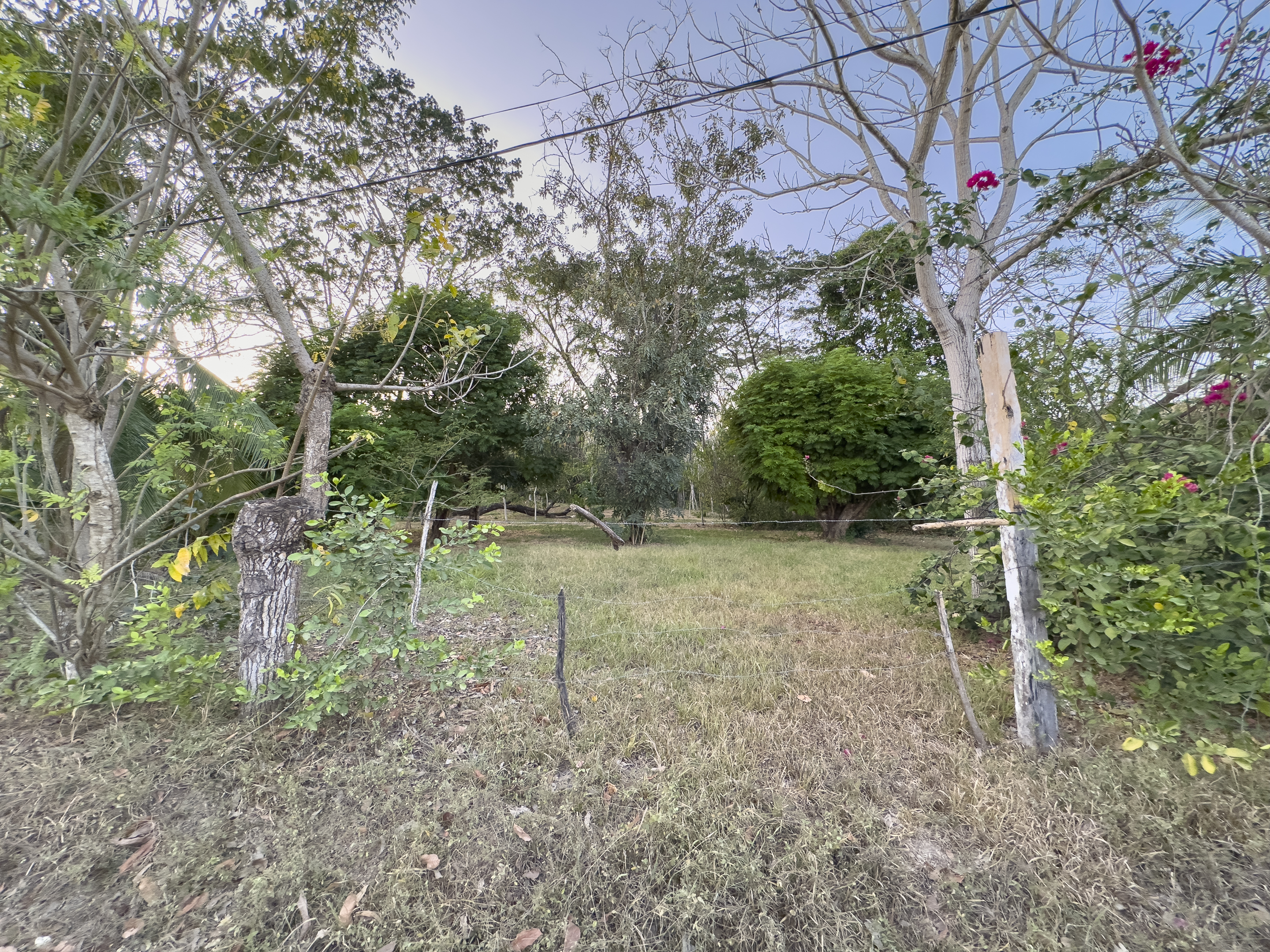 0 bed Land For Sale in Cabuya, Puntarenas - thumb 10