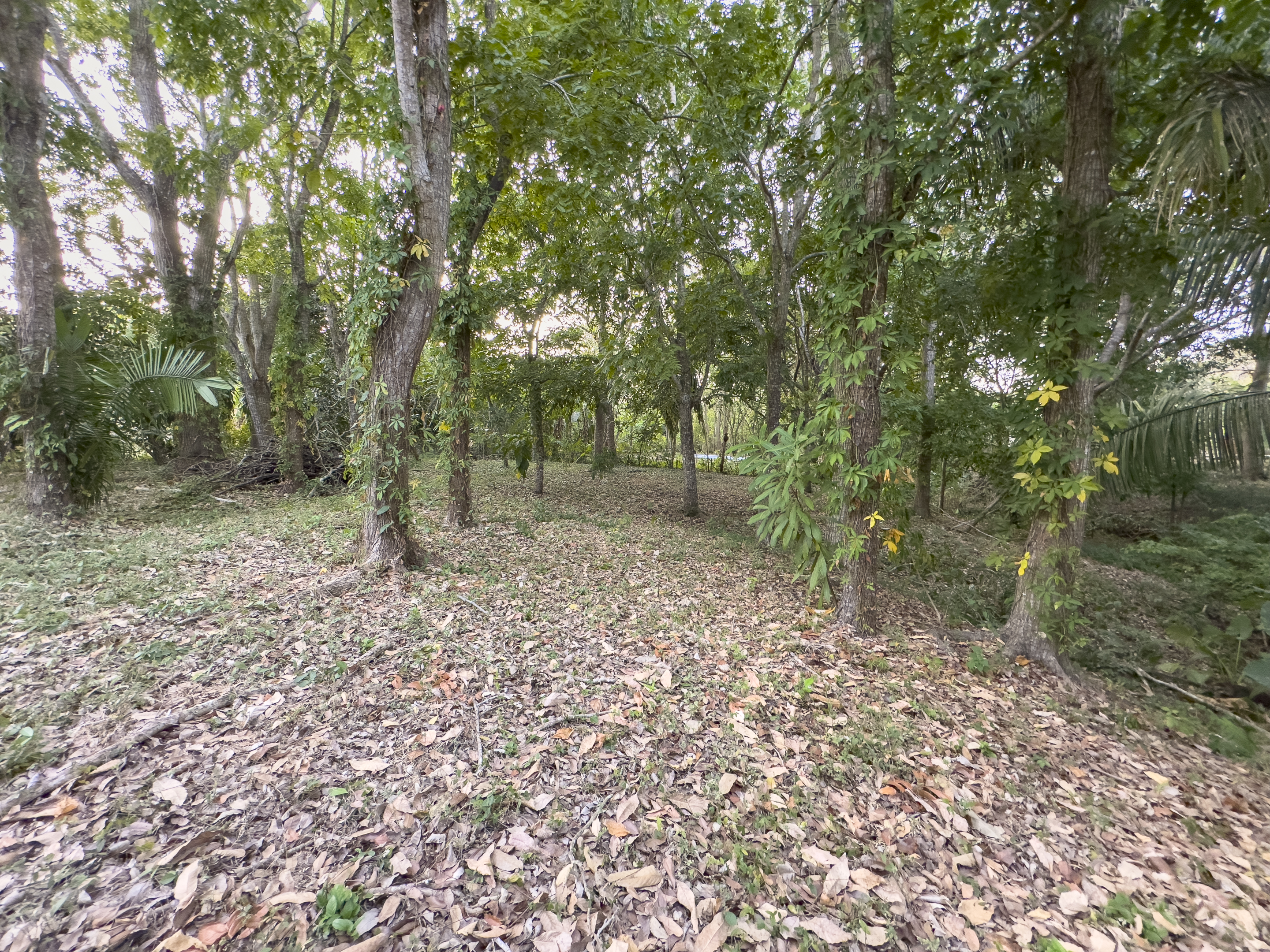 0 bed Land For Sale in Cabuya, Puntarenas - thumb 6