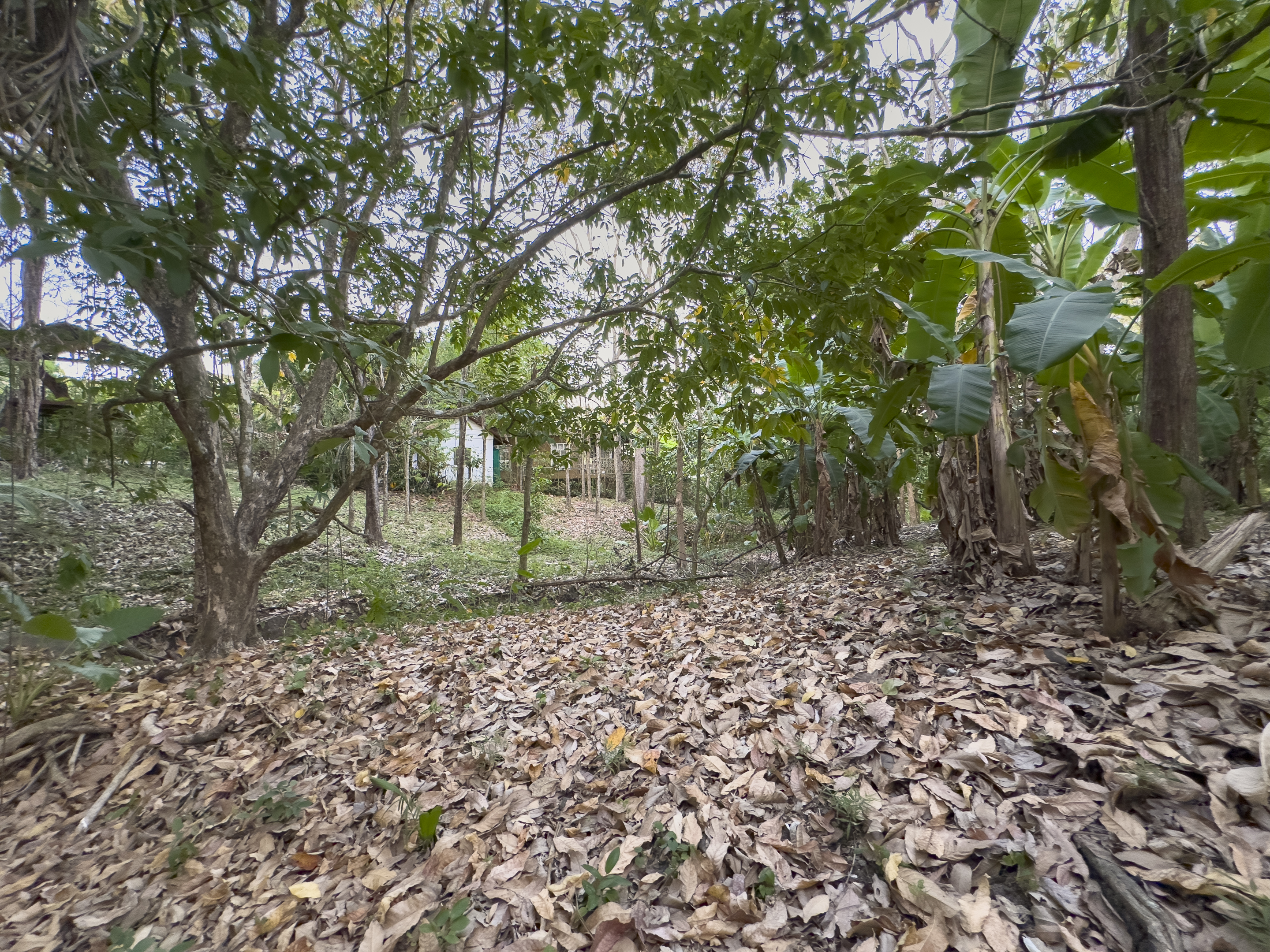 0 bed Land For Sale in Cabuya, Puntarenas - thumb 9