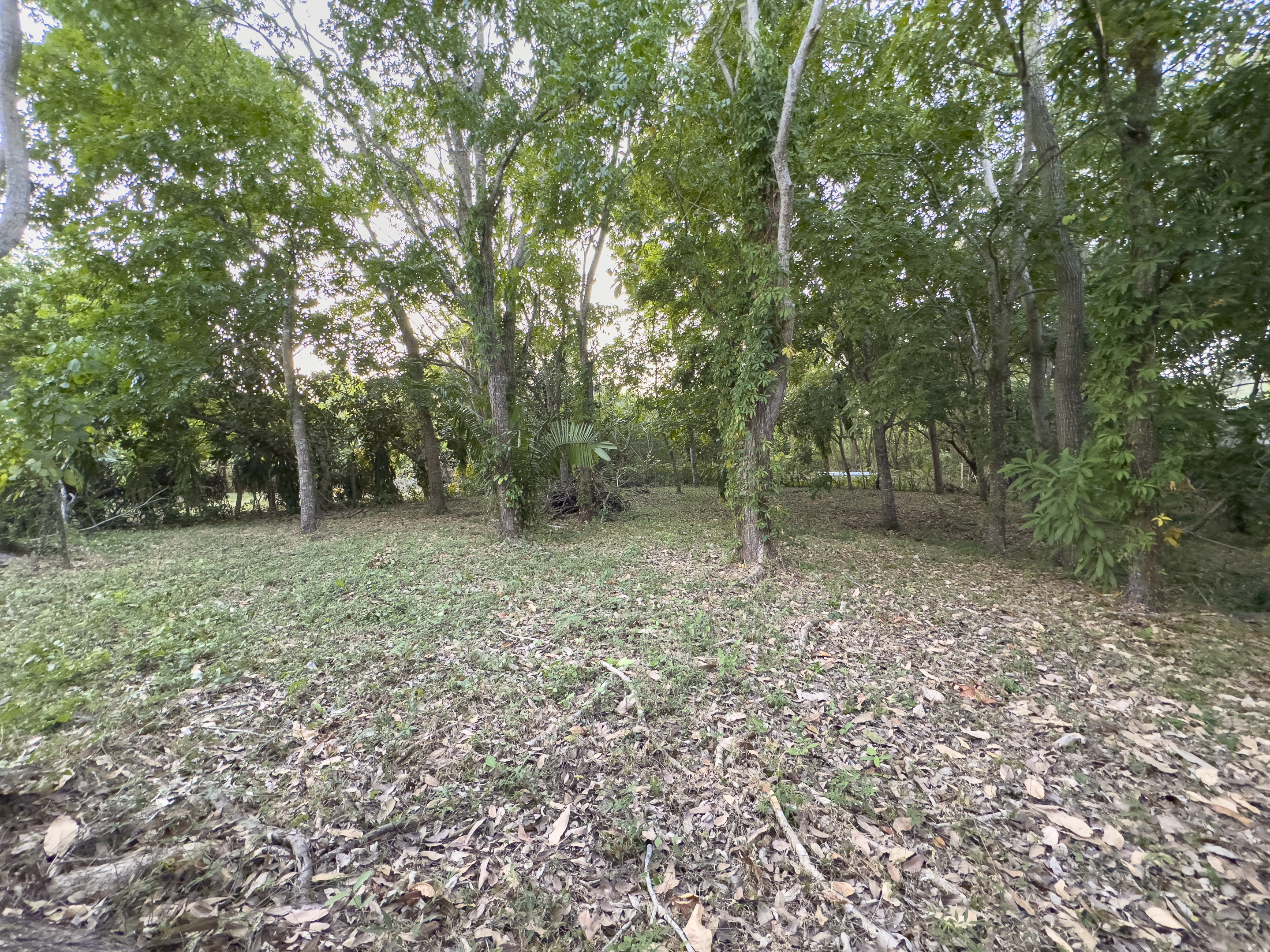 0 bed Land For Sale in Cabuya, Puntarenas - thumb 5