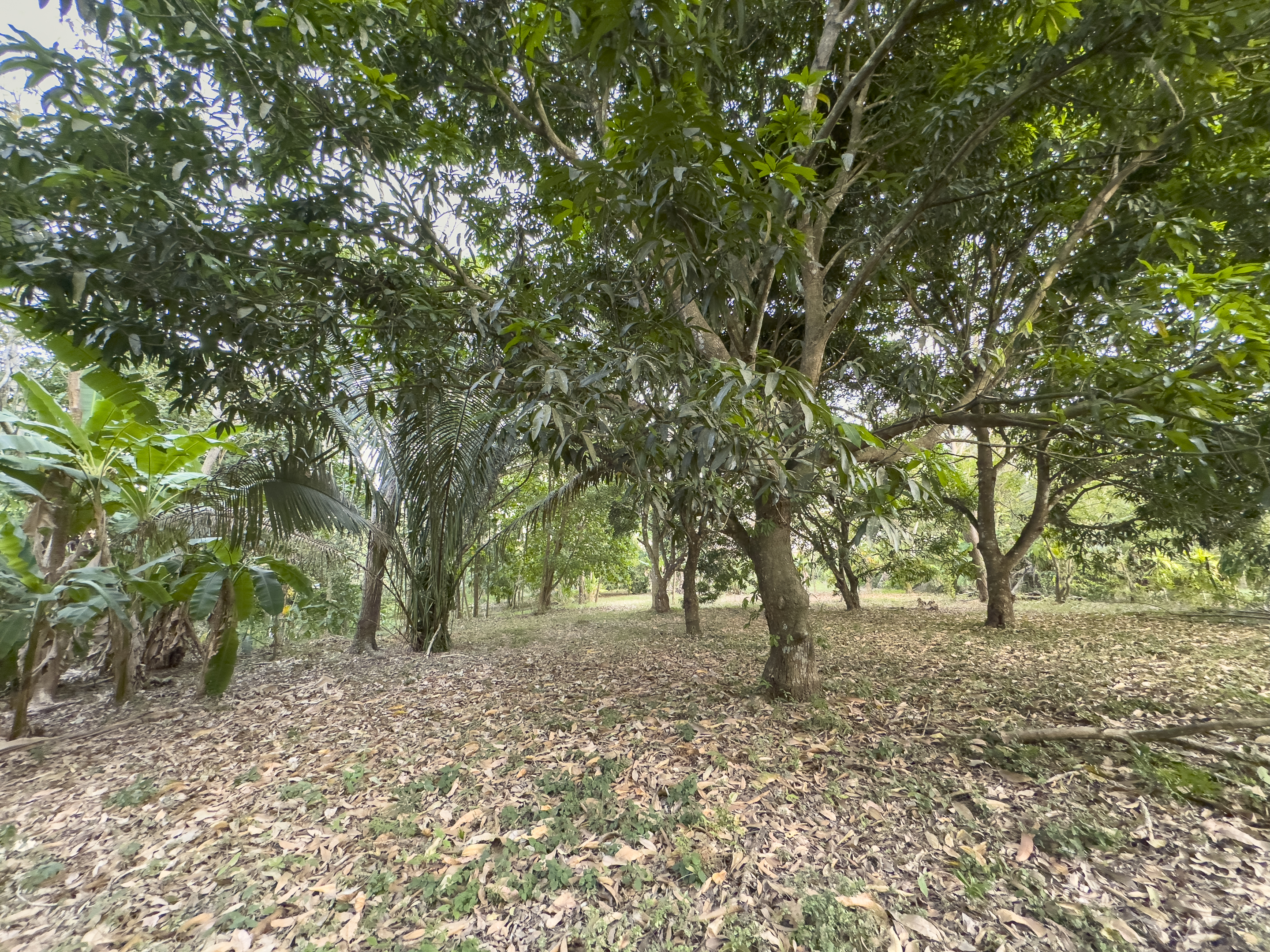 0 bed Land For Sale in Cabuya, Puntarenas - thumb 4