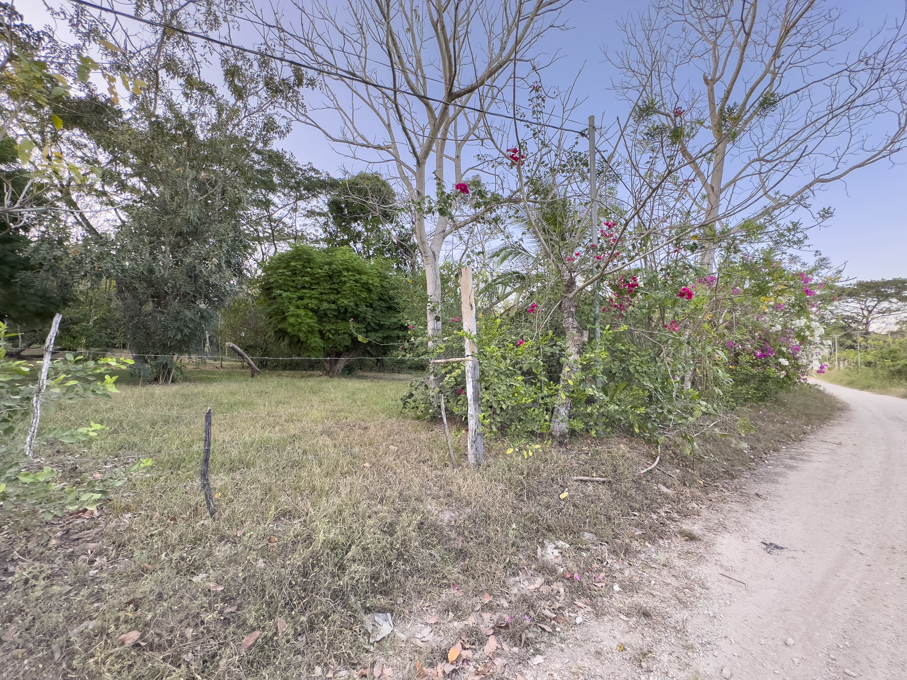 0 bed Land For Sale in Cabuya, Puntarenas - thumb 11