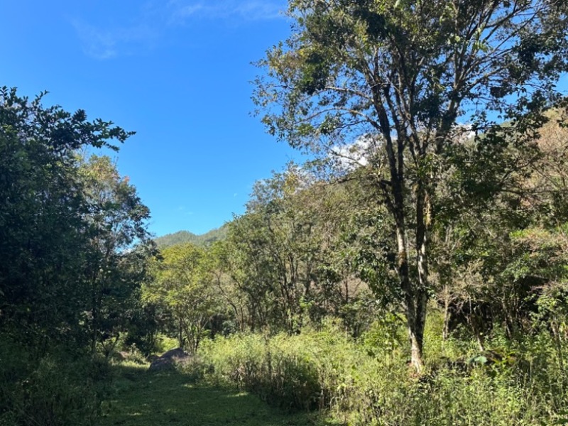 0 bed Land For Sale in Perez Zeledon, San Jose - thumb 15