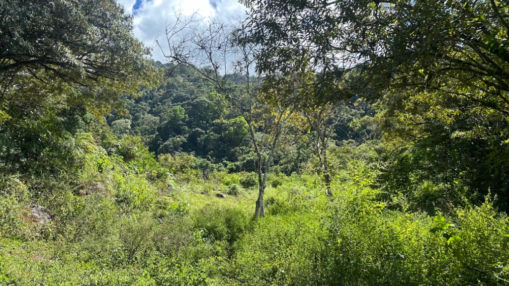 0 bed Land For Sale in Perez Zeledon, San Jose - thumb 18