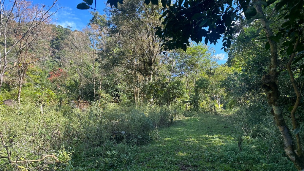 0 bed Land For Sale in Perez Zeledon, San Jose - thumb 8
