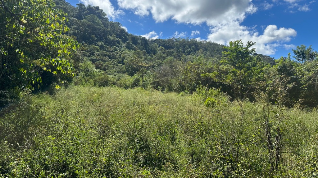 0 bed Land For Sale in Perez Zeledon, San Jose - thumb 17