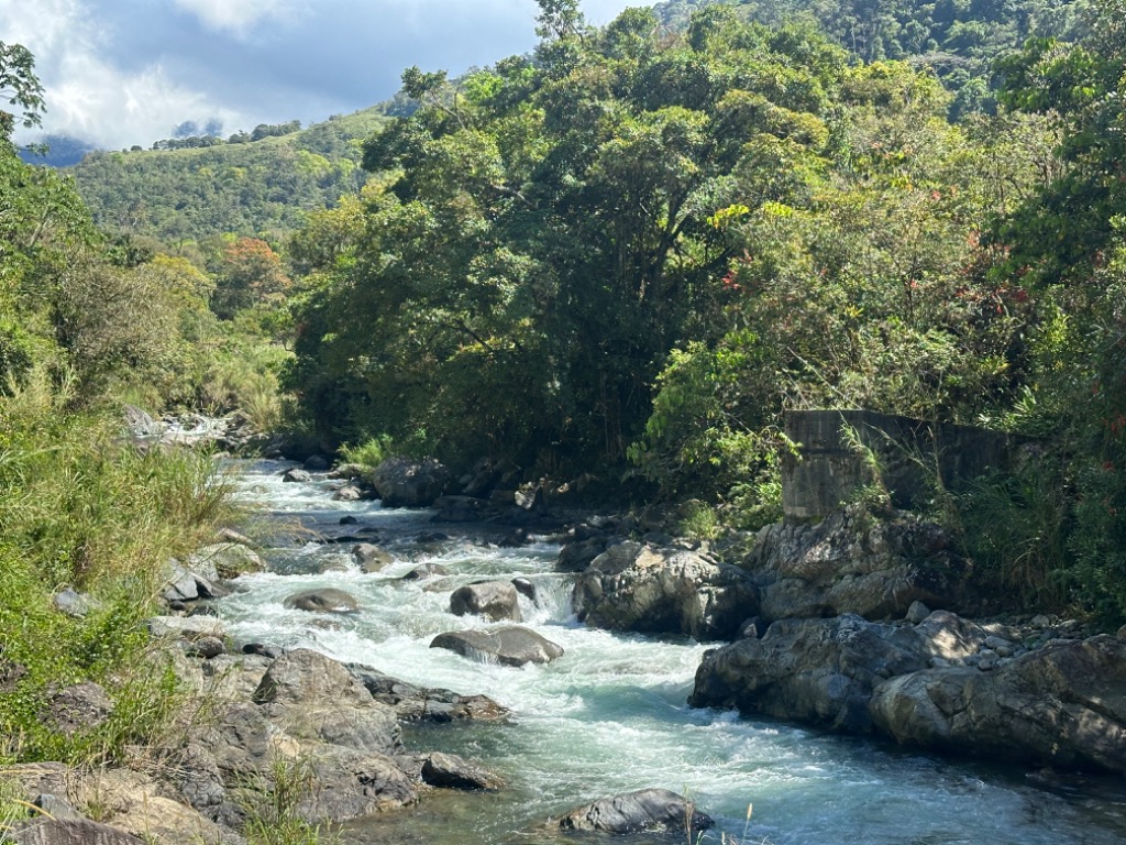 0 bed Land For Sale in Perez Zeledon, San Jose - thumb 19