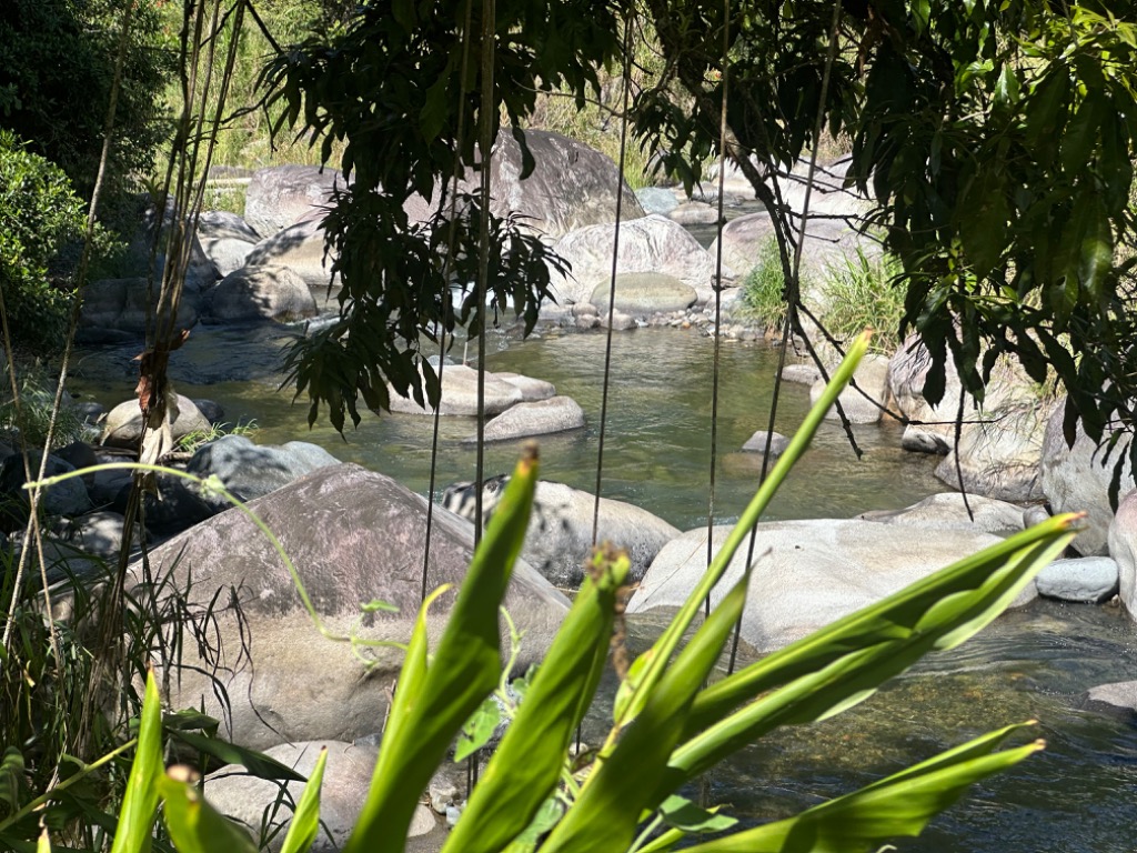 0 bed Land For Sale in Perez Zeledon, San Jose - thumb 13