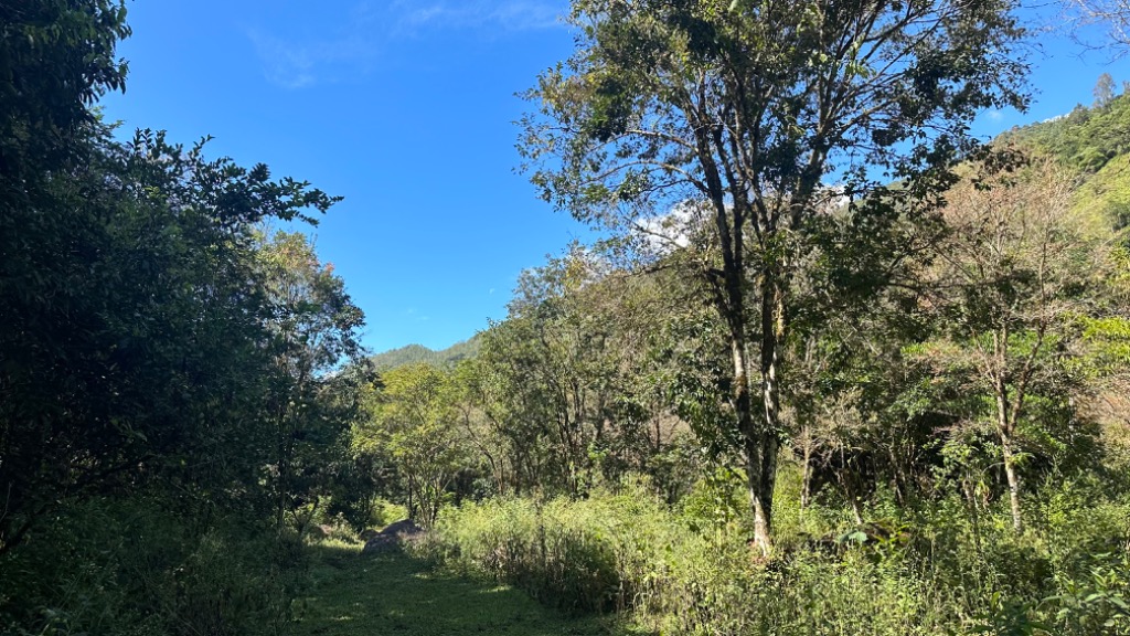 0 bed Land For Sale in Perez Zeledon, San Jose - thumb 16